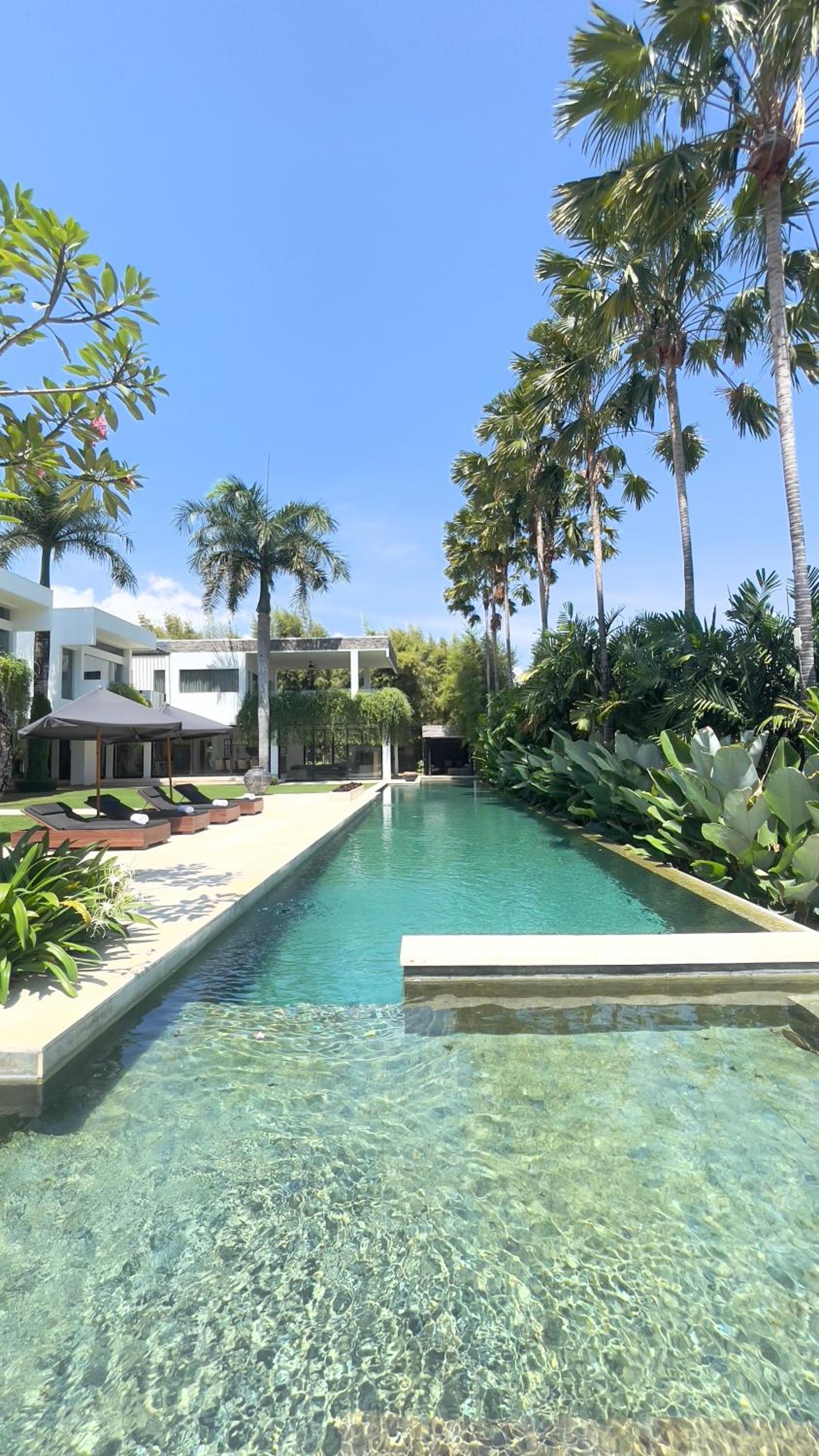 Luxury 5BR Canggu Villa with Private Pool, Rice Fields View & Beach Nearby - The Palm House