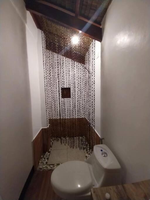 2 Bedroom House in Malinao, General Luna view 3