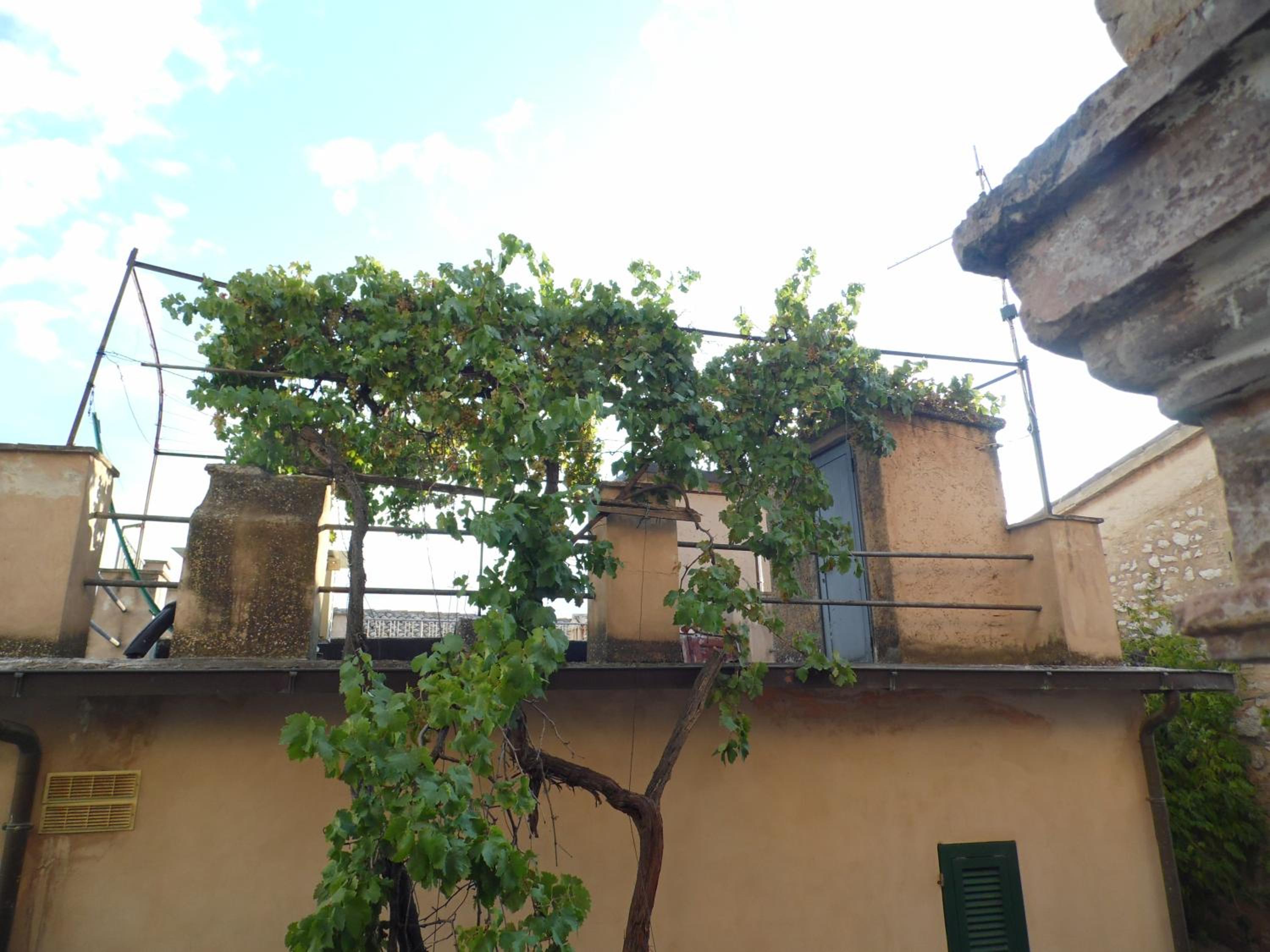 La vecchia vite casa vacanze view 3