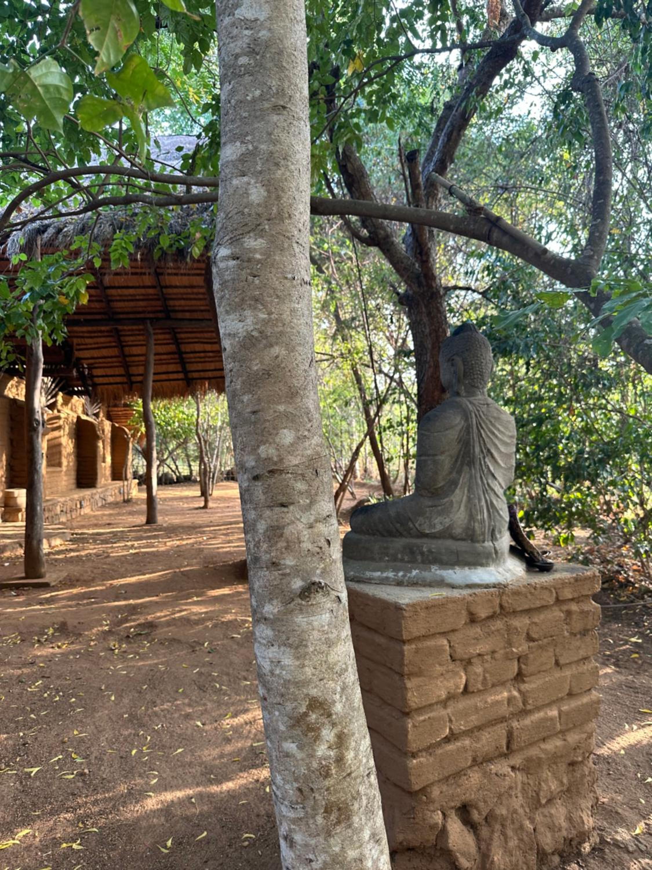 Athreya Ayurveda Ashram view 2