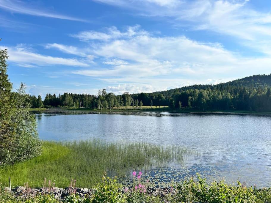 Haus in Schweden Wald alleinlage Ferienhaus am See angeln wandern view 5