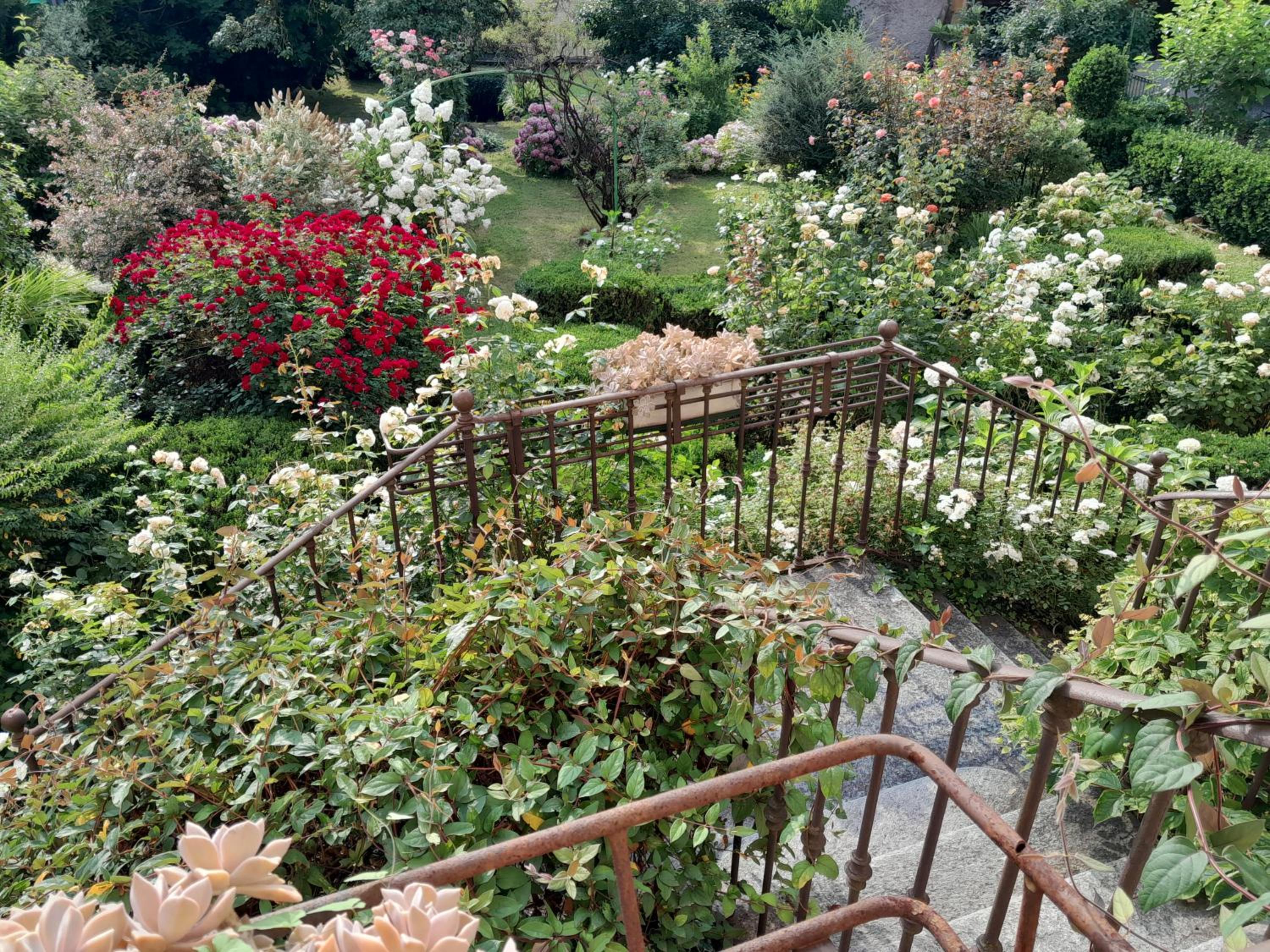 Photo 17