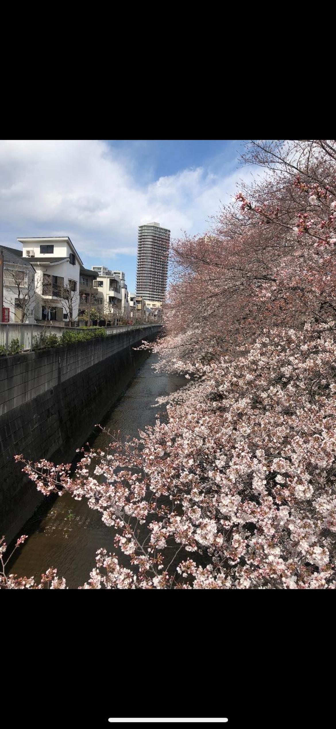 東京の港灣-Tokyo Harbor -28 square meter king size garden room103