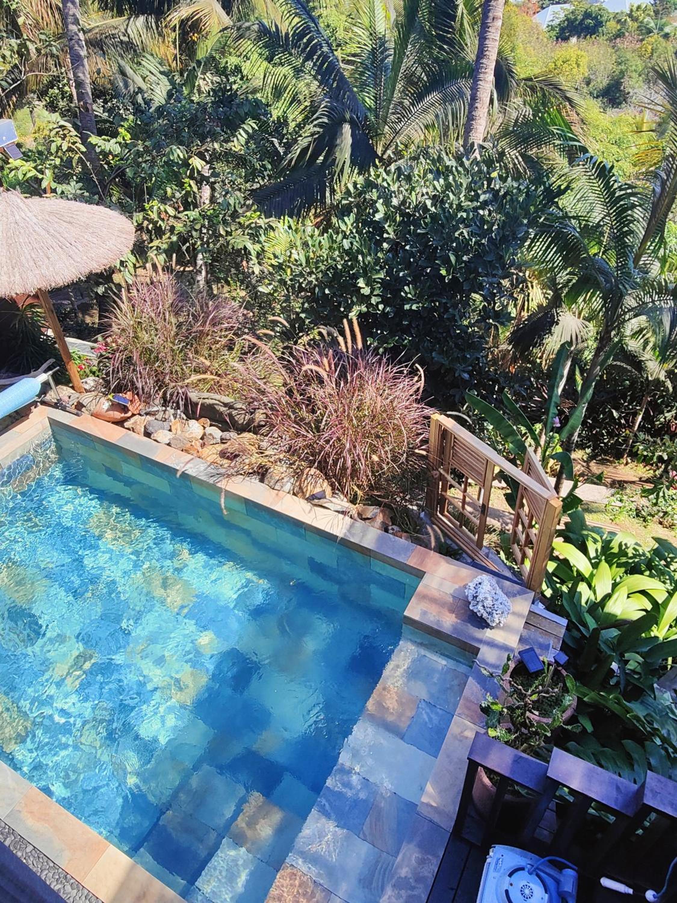 OHANA Jungle Lodges