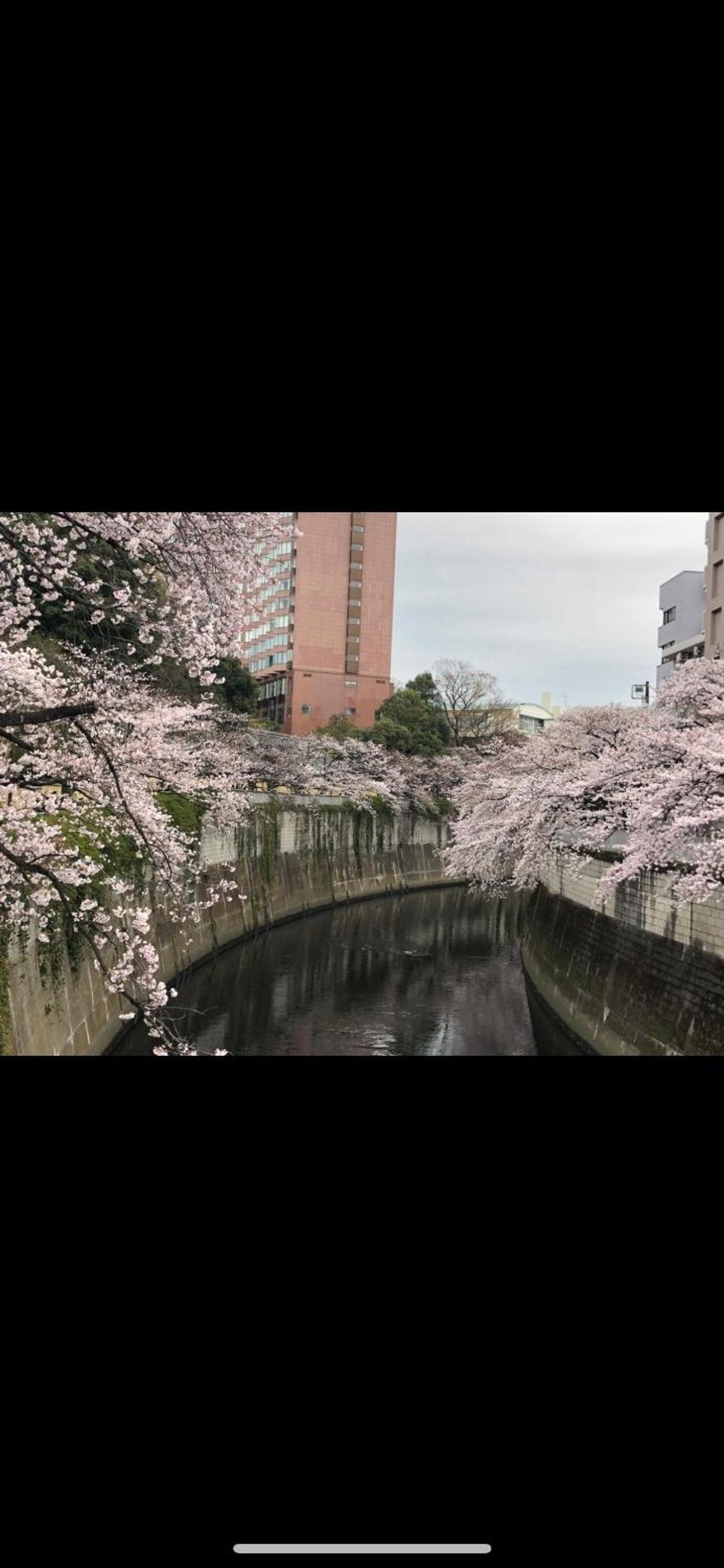 東京の港灣-Tokyo Harbor -28 square meter king size garden room103