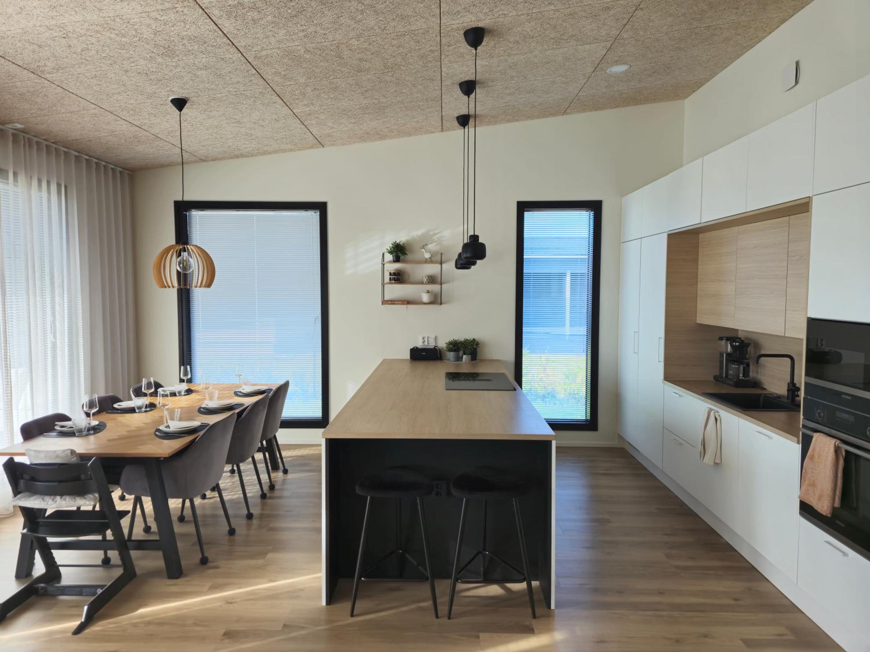 Arctic Cozy Modern Home