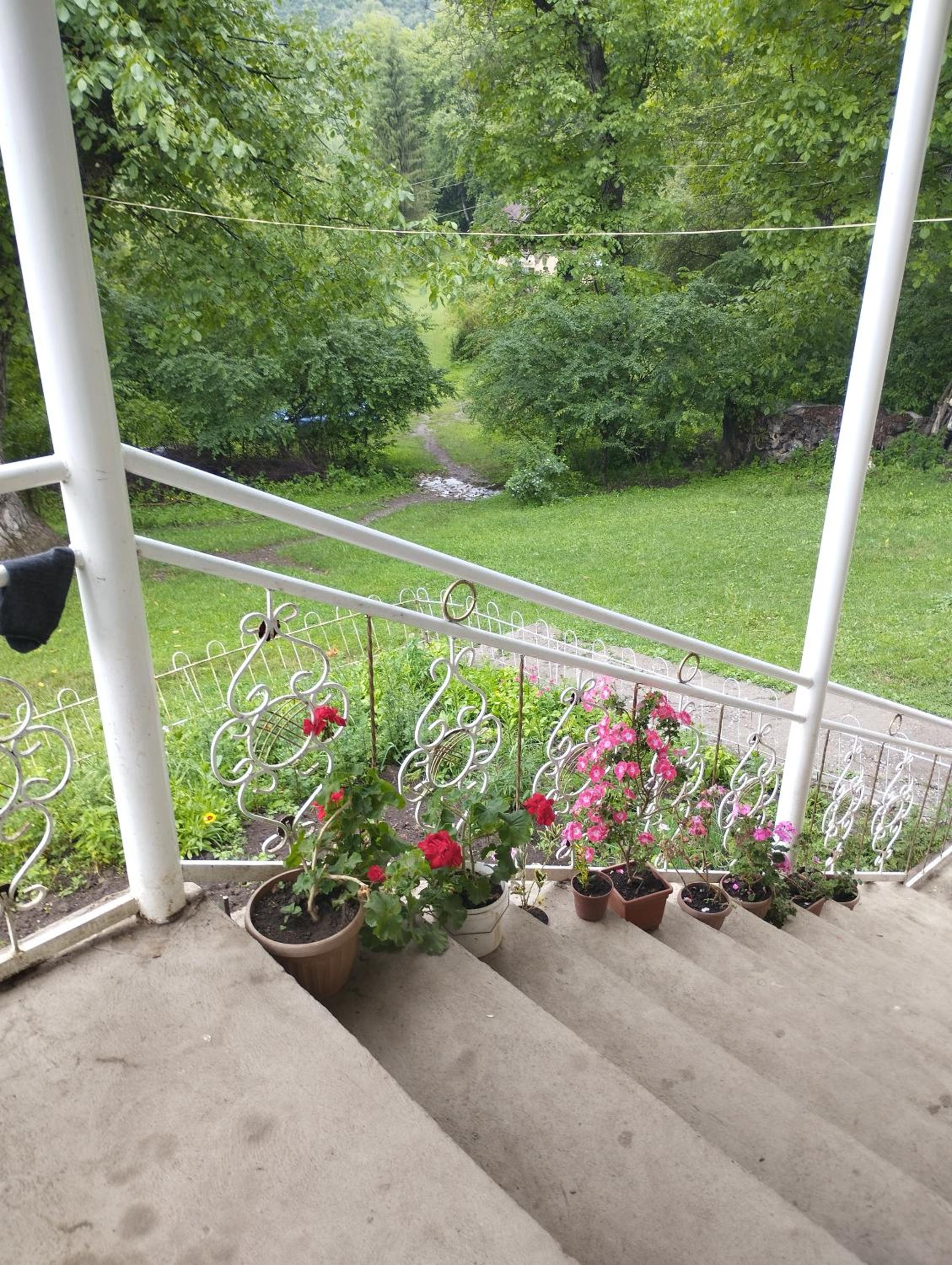 Walnut grove guest house