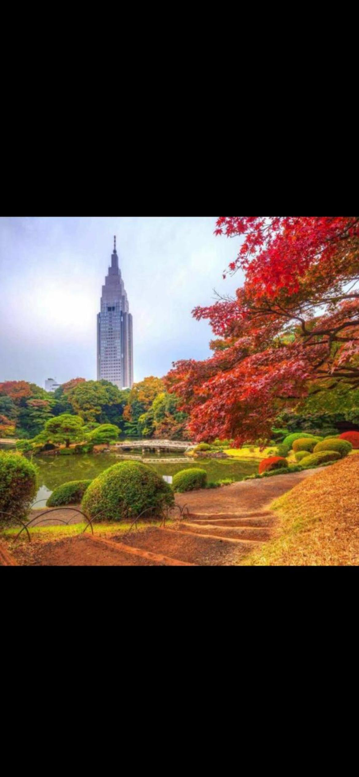 東京の港灣-Tokyo Harbor -28 square meter king size garden room103