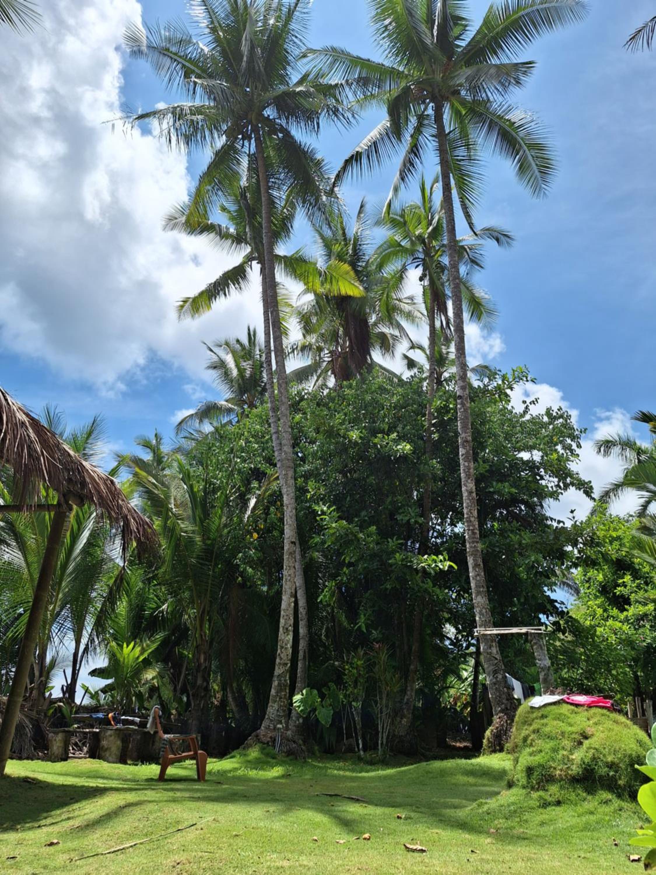 Rancho Burica
