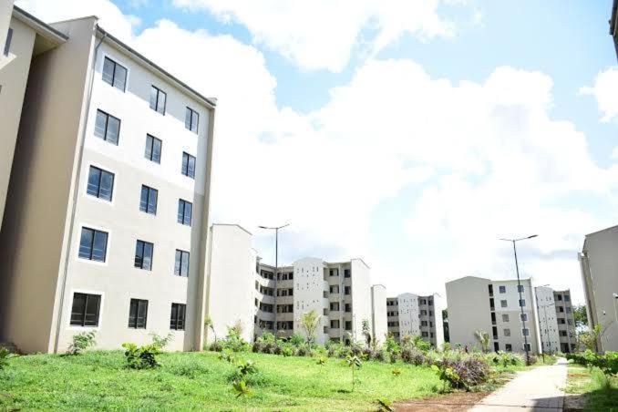 Savannah Vipingo