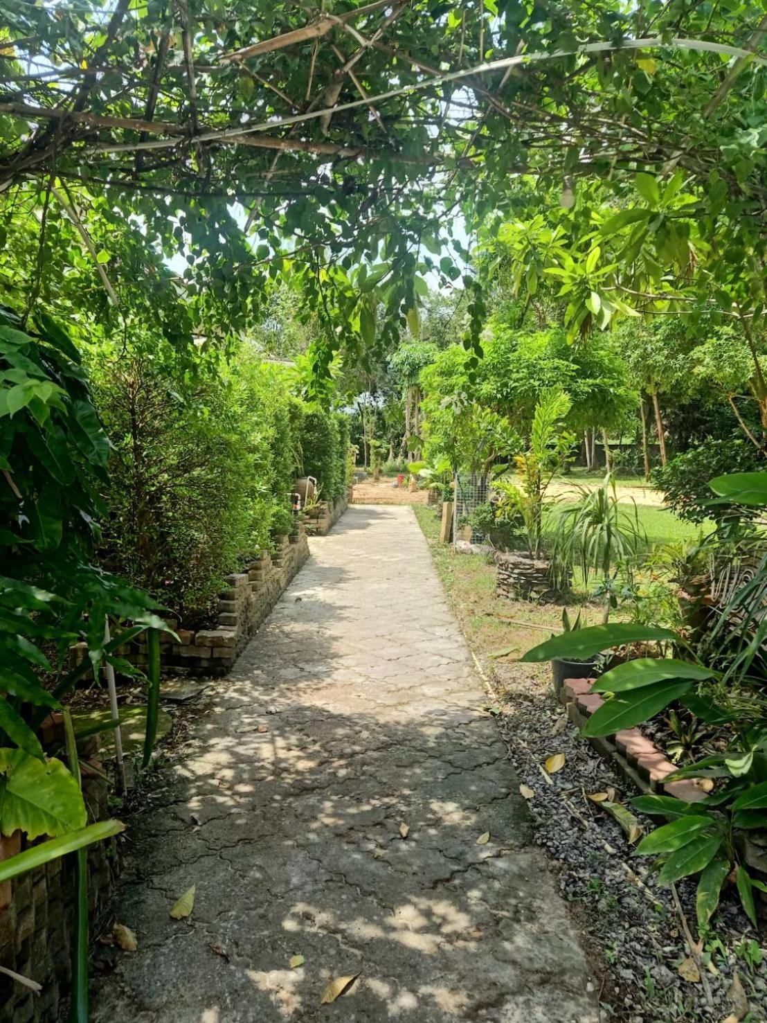Lanta Buddy Resort , Long Beach