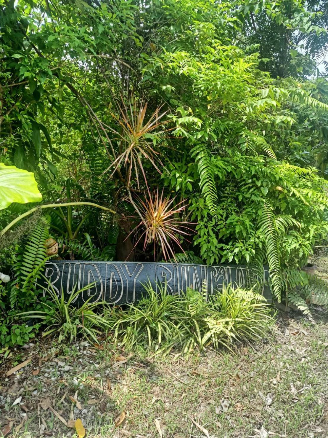 Lanta Buddy Resort , Long Beach