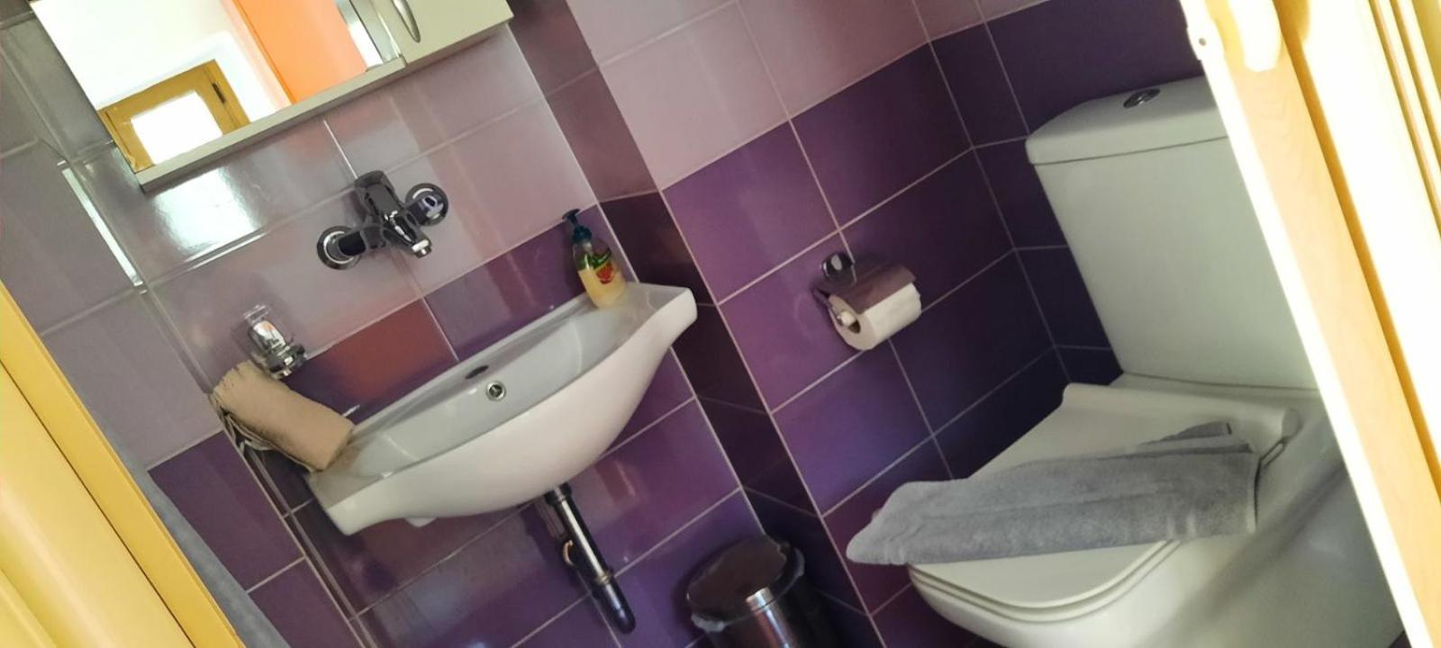 Photo 46
