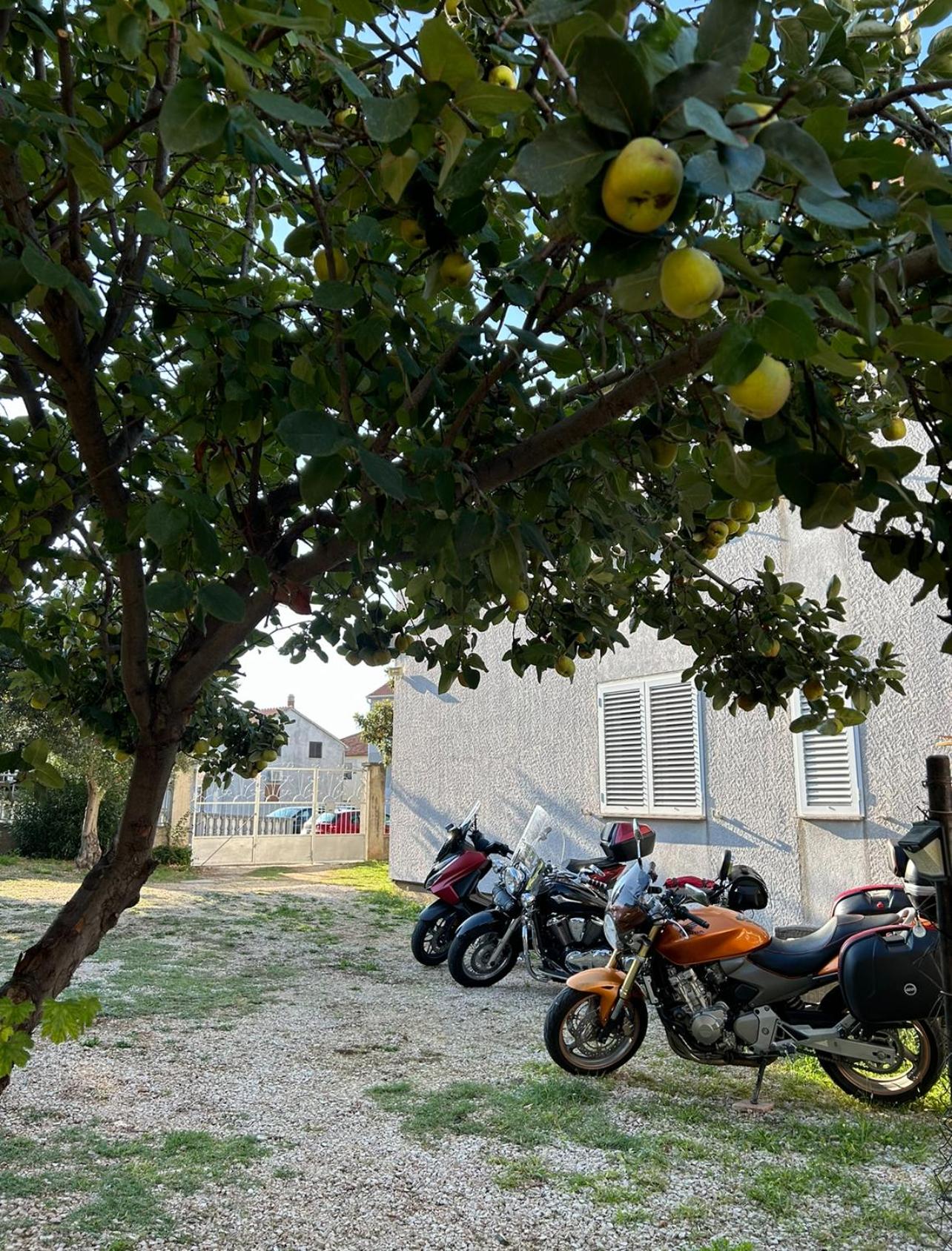 Villa Jadran Zadar free parking sea view
