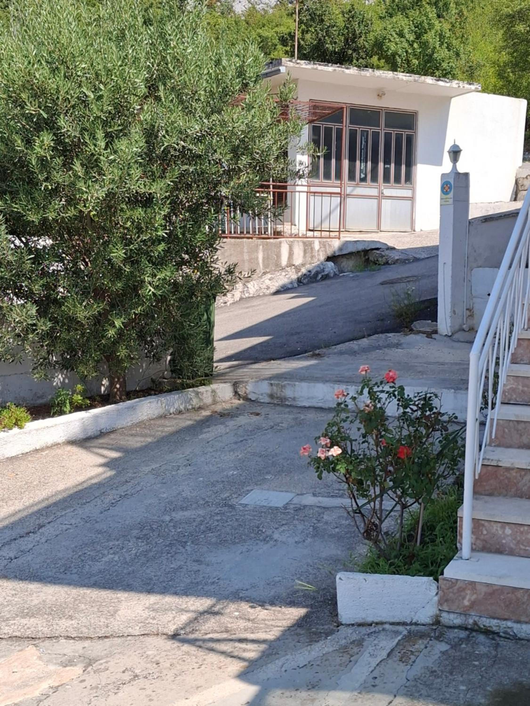 Photo 41