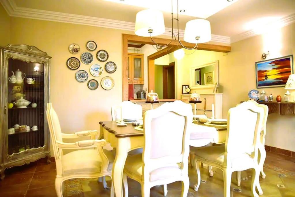 Maadi Your New Escape