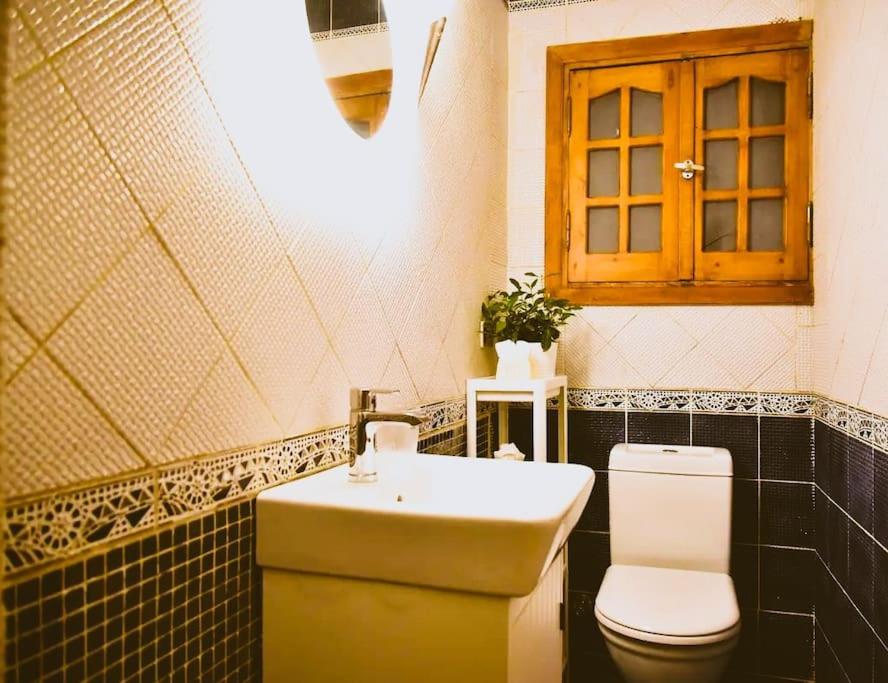 Maadi Your New Escape