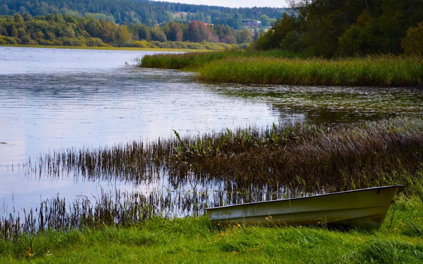 Ljungaviken