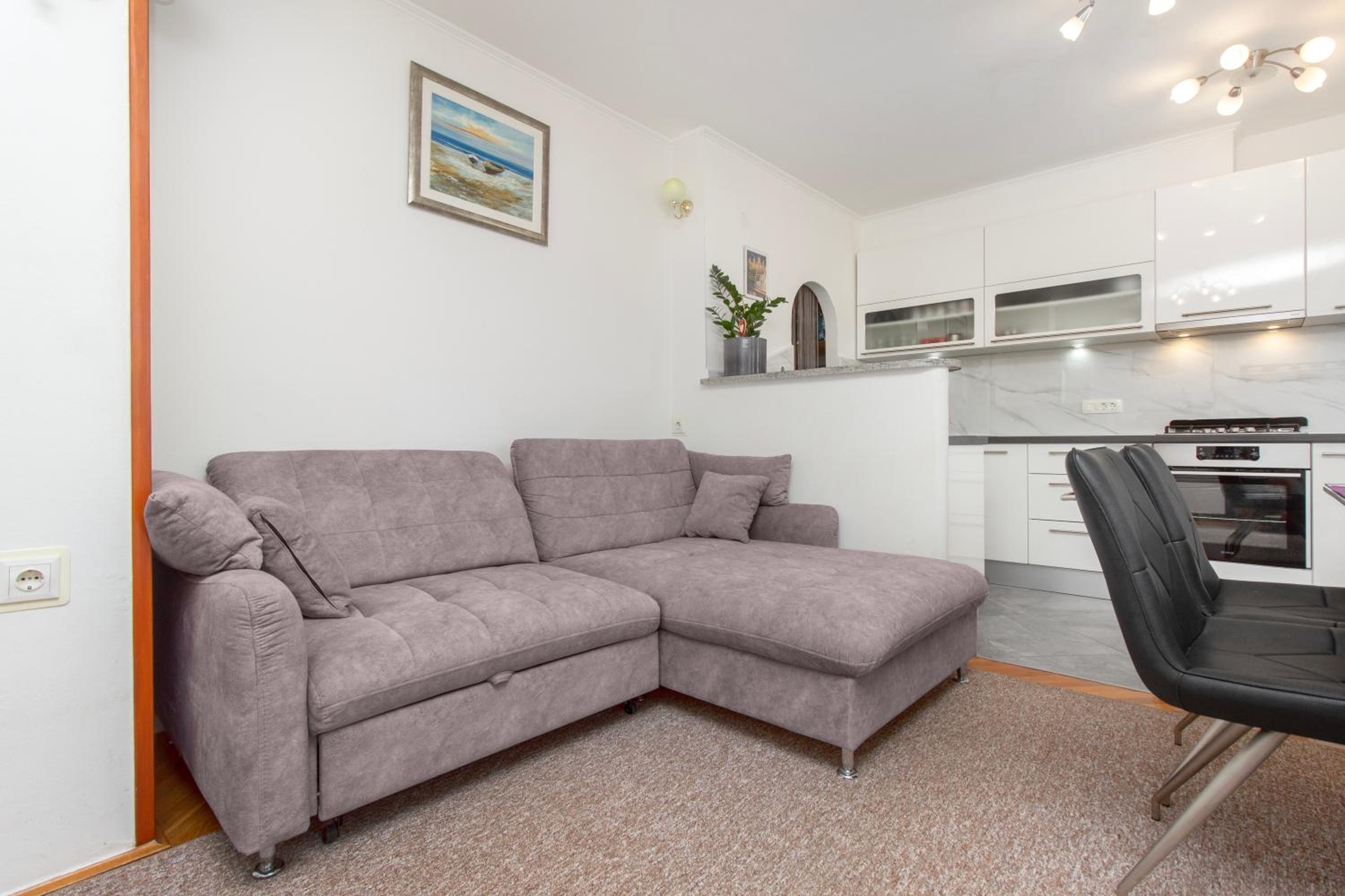 Apartment Damir