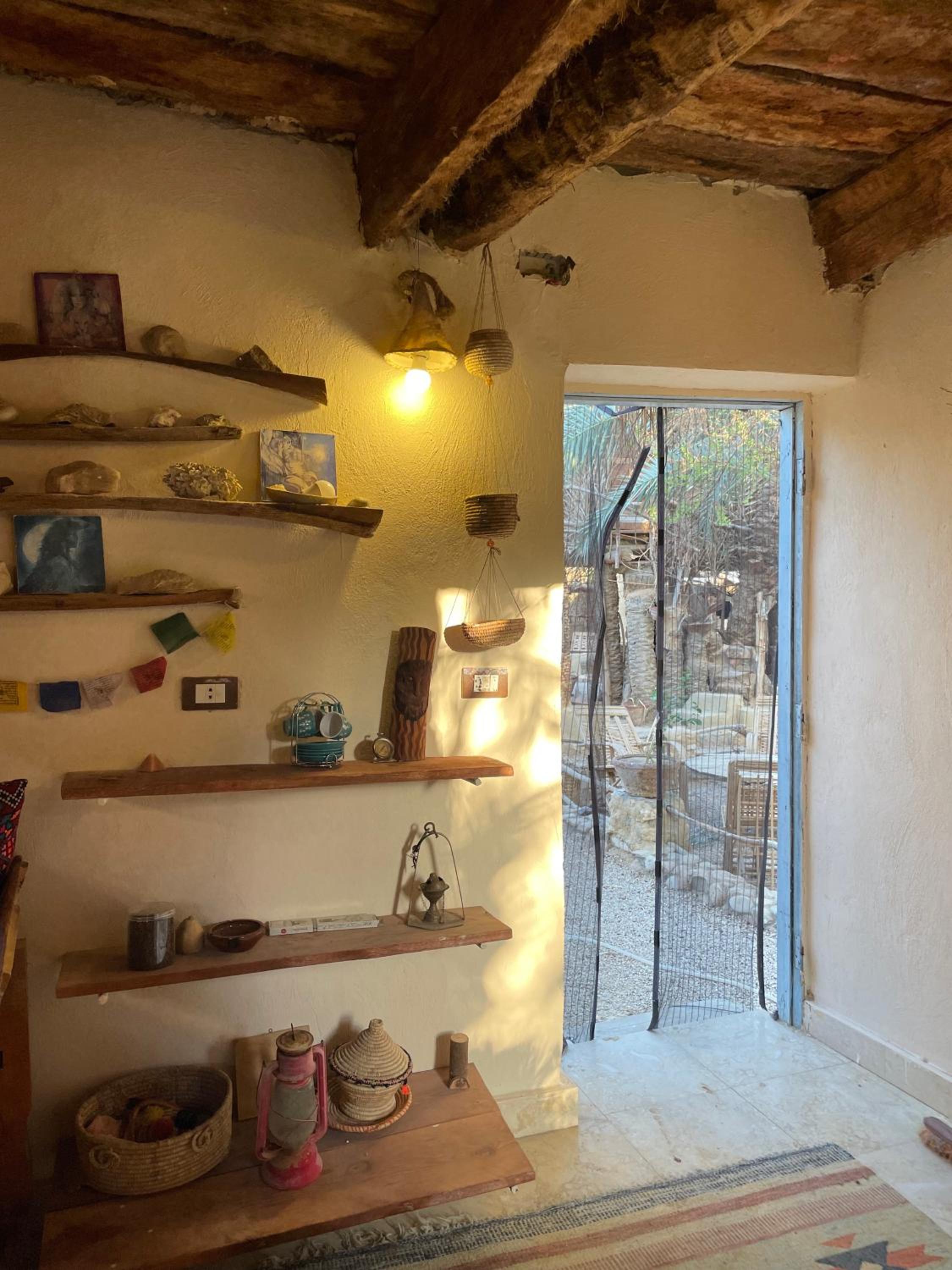 Shamofs art garden