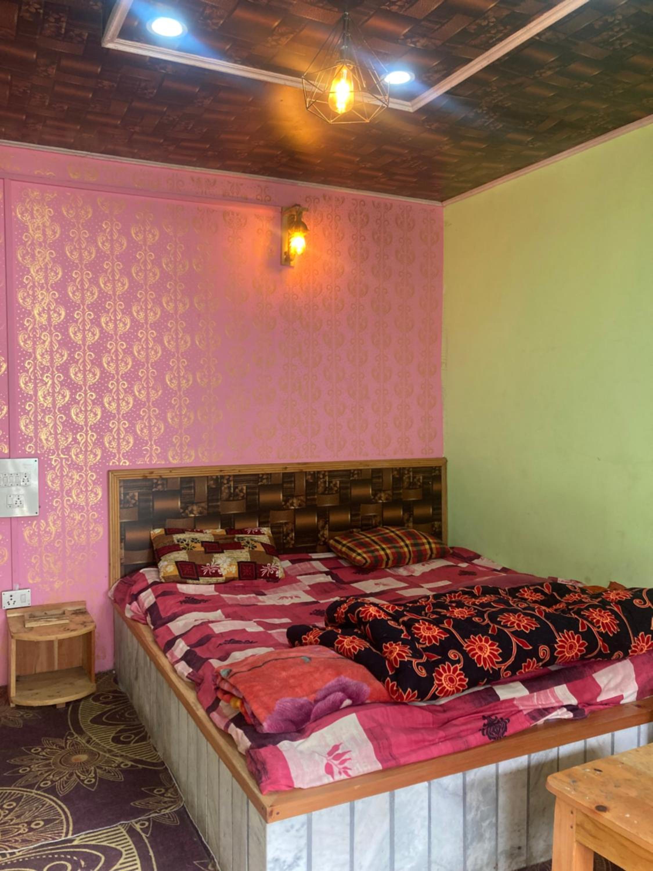 Live in Parvati view 2