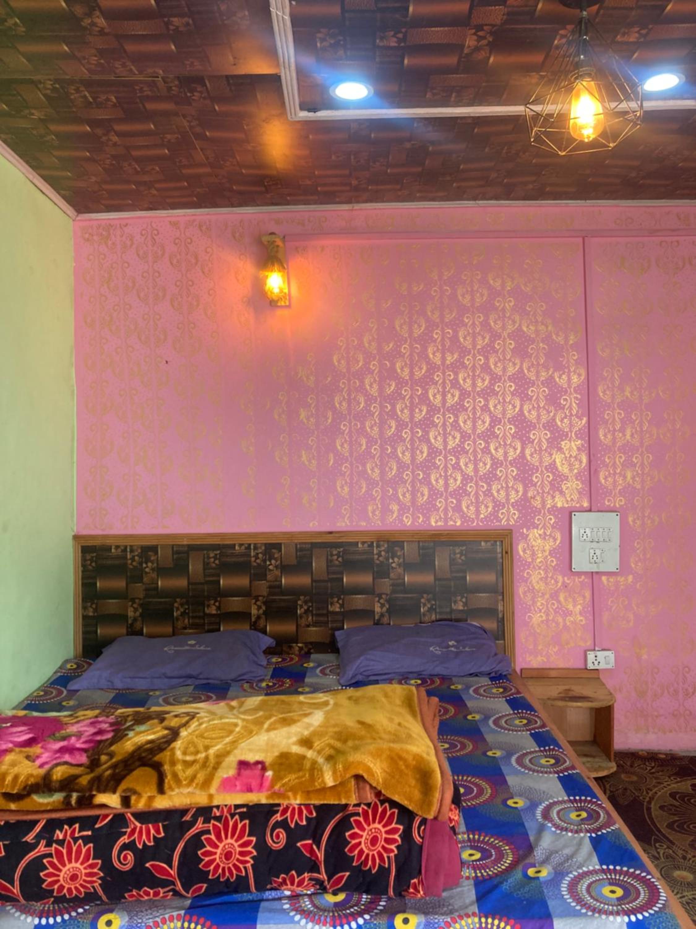 Live in Parvati view 5