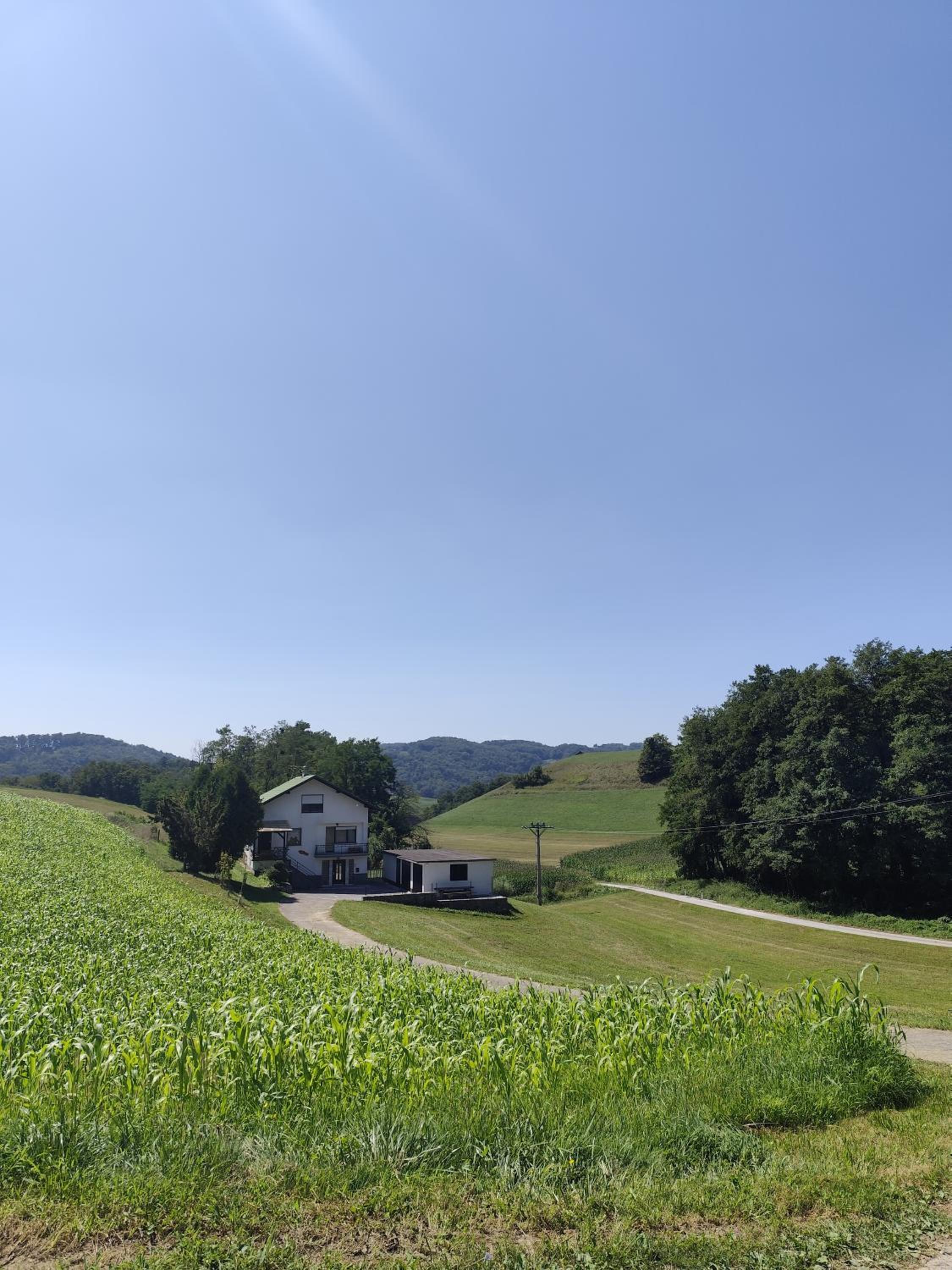 Apartma in Wellness Sladka Gora view 2