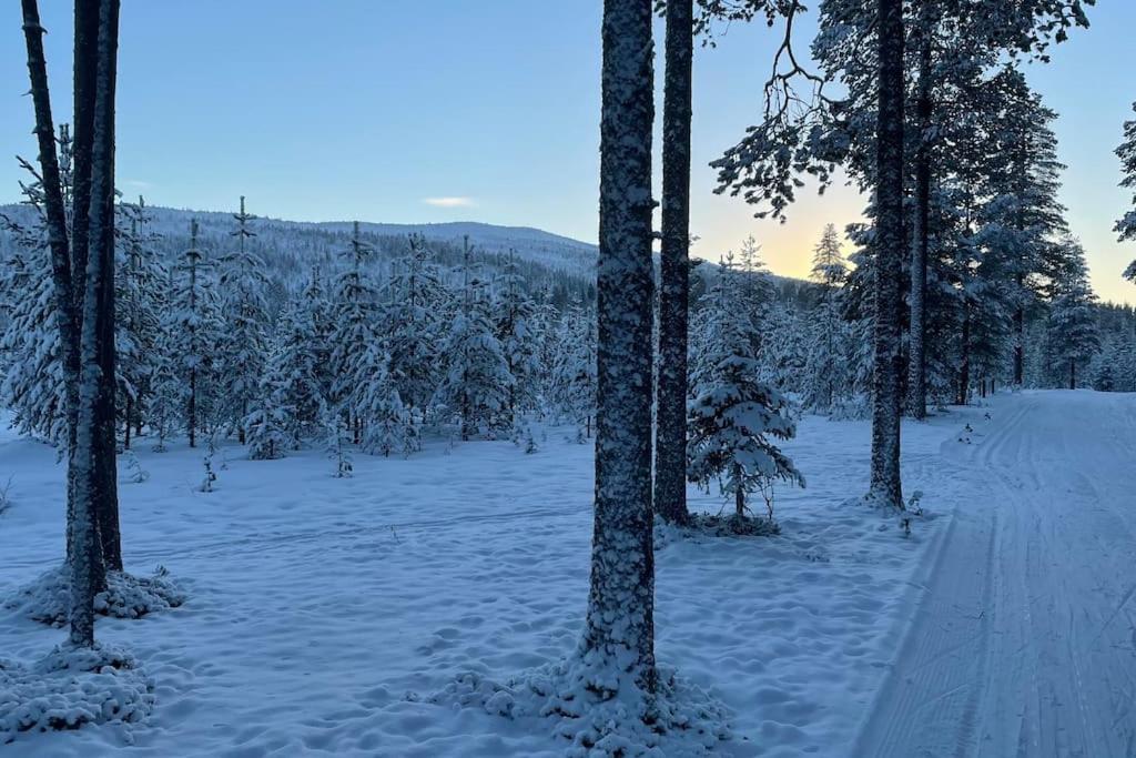 Upea kelomökki Levillä