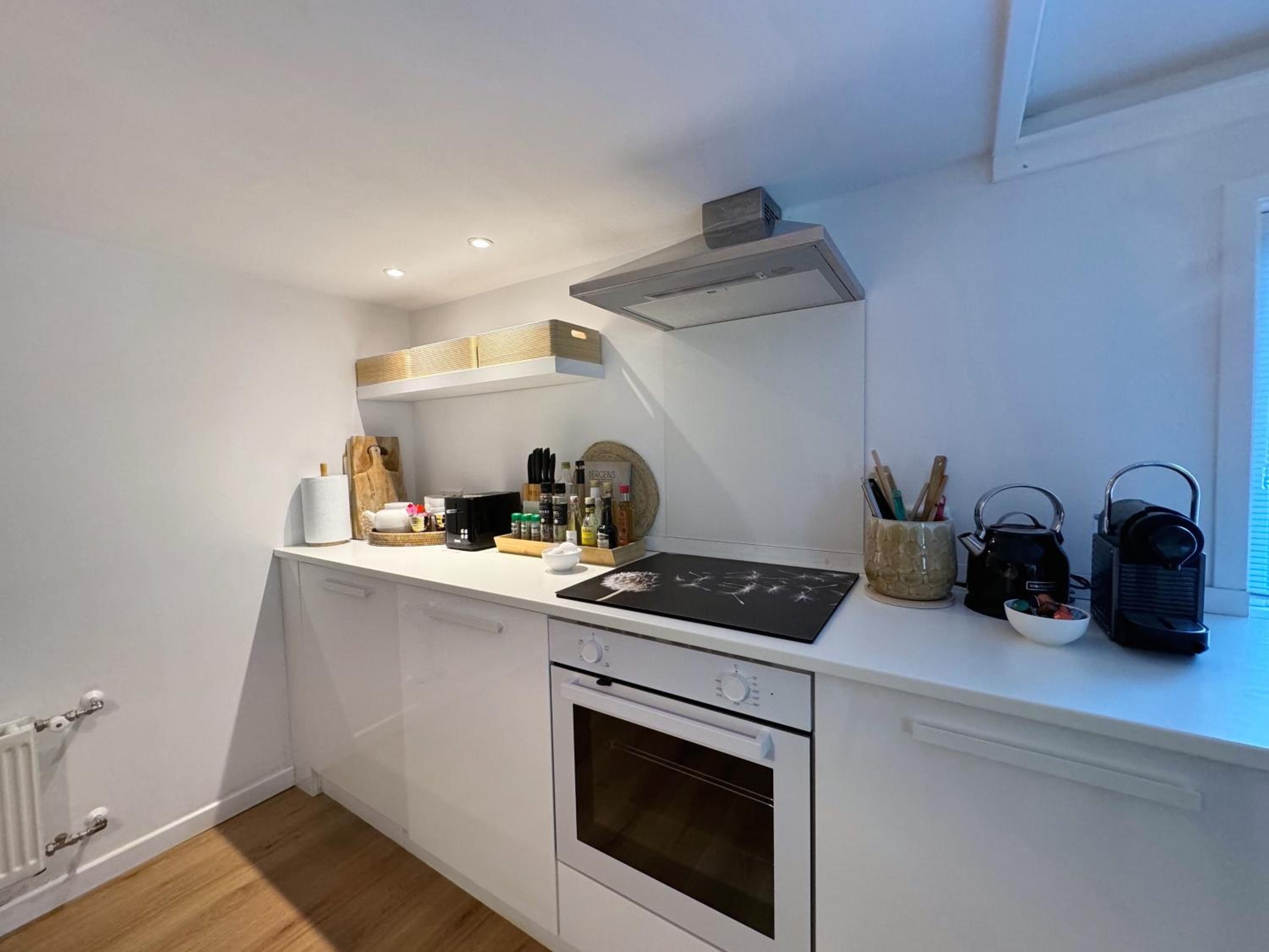 Duinstudio Bergen