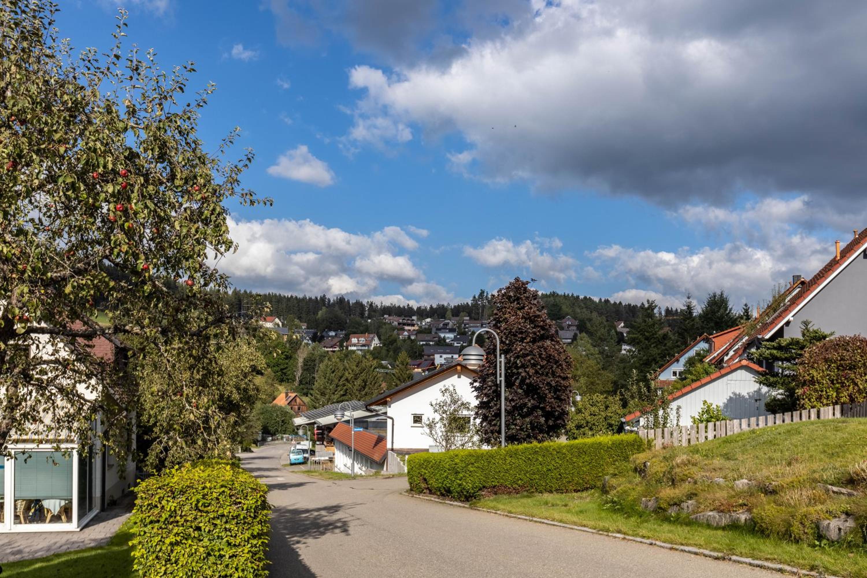 Dachspitz - junges Wohnen view 5