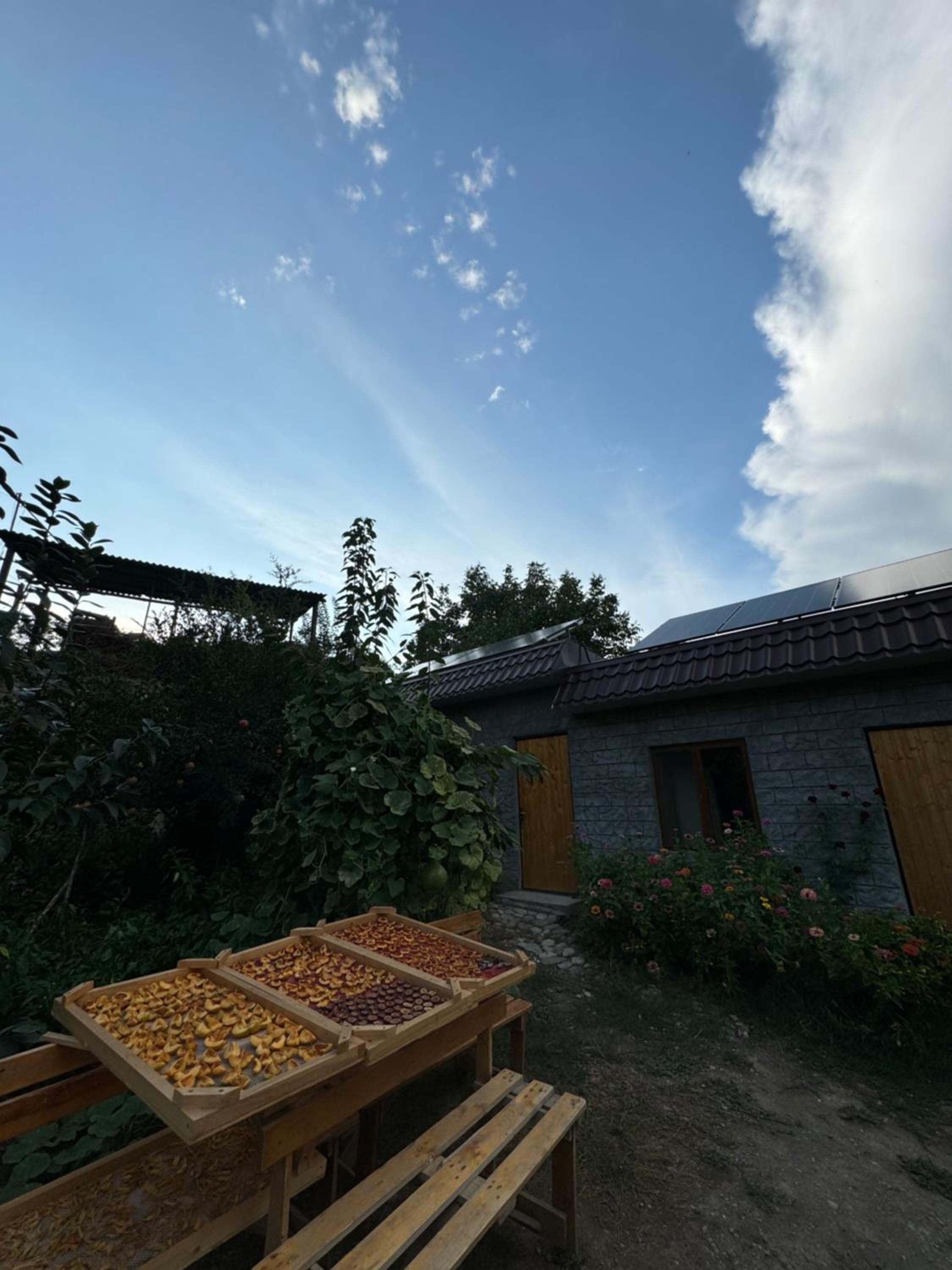 Stepanyans' Guest House