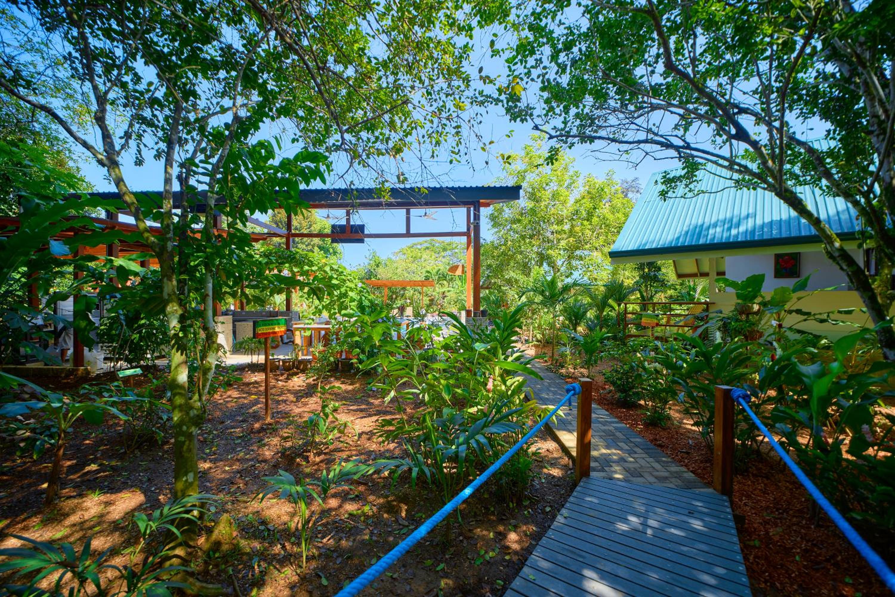 Casa Coki - Modern Villa Pool Steps From the Beach