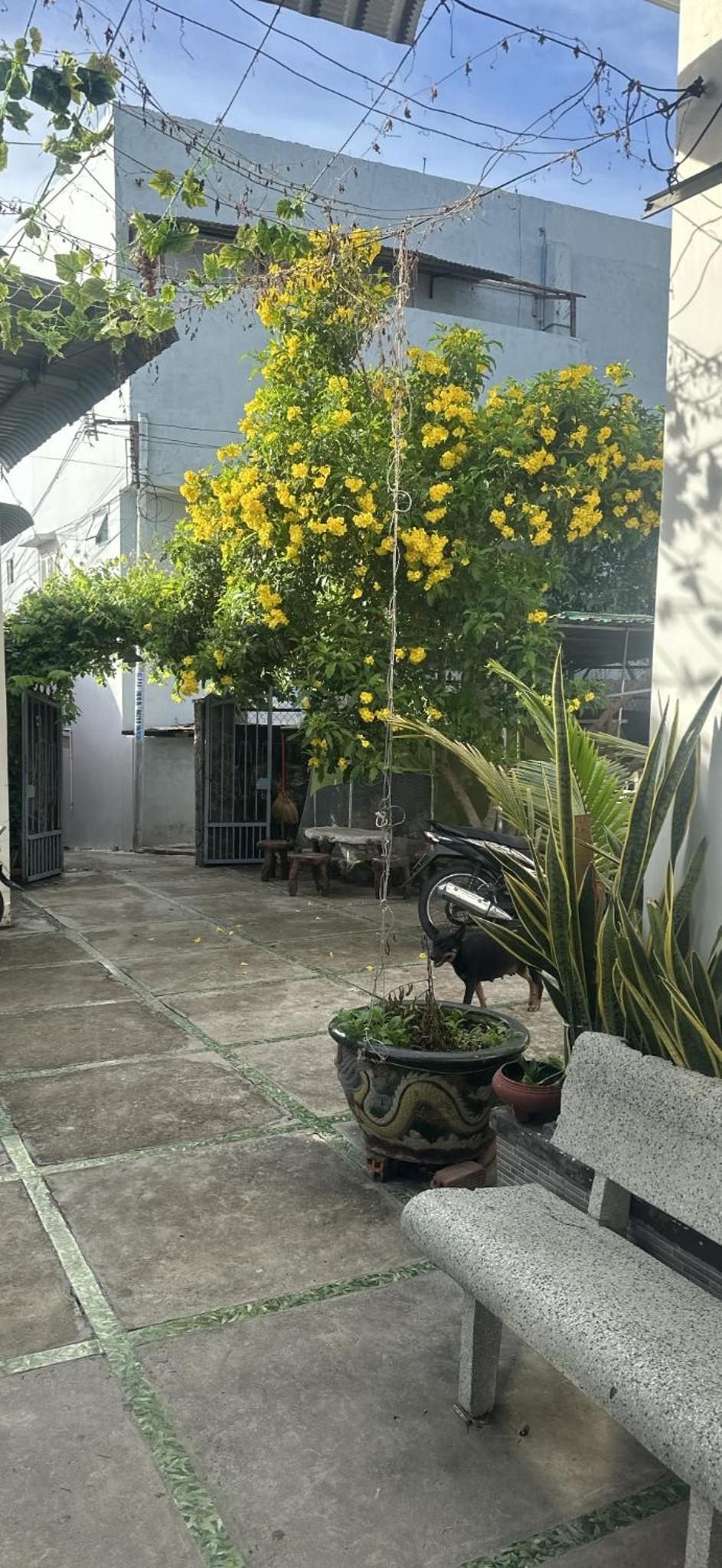Photo 29