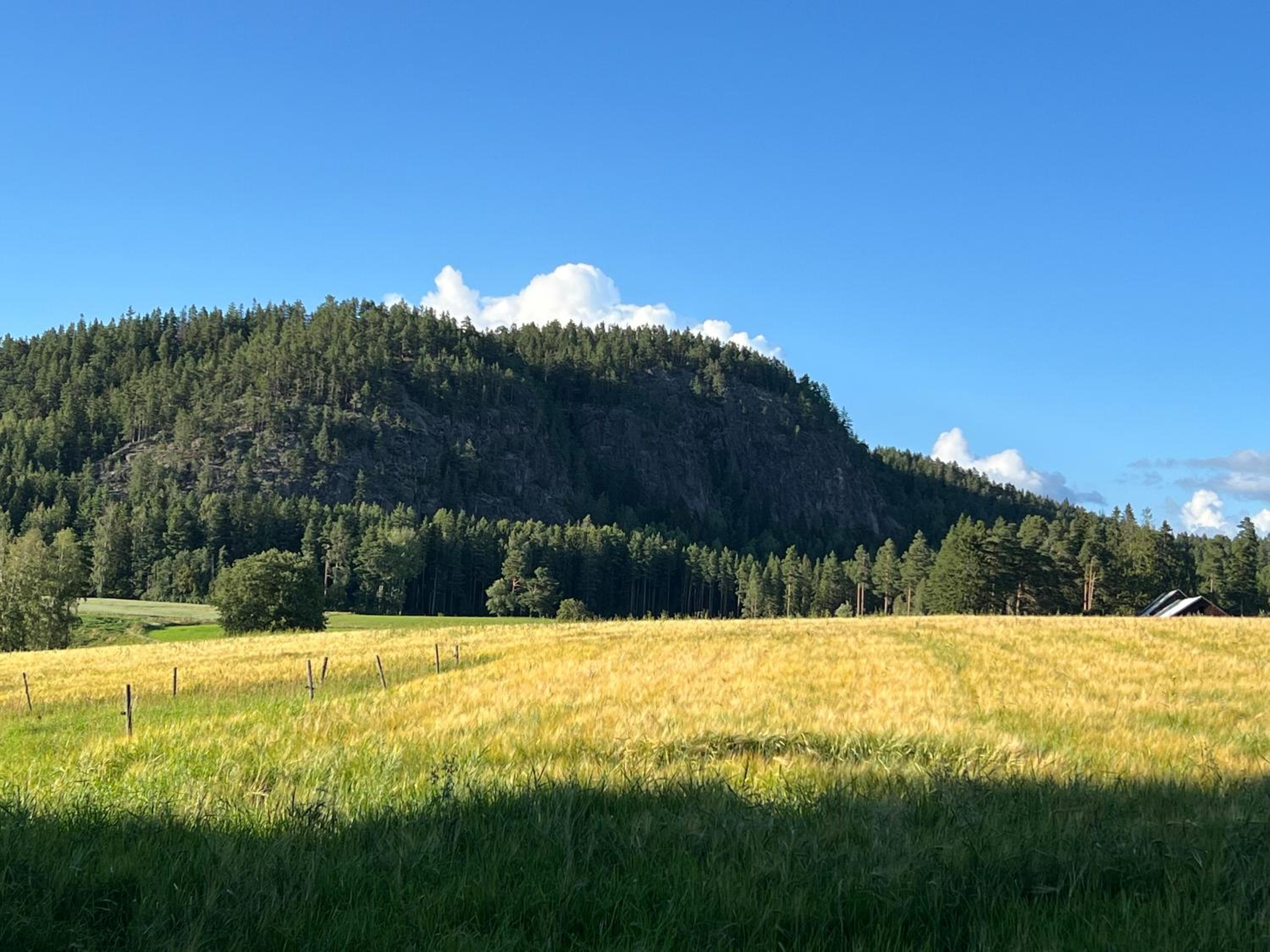 Loftet på Soliga Klacken