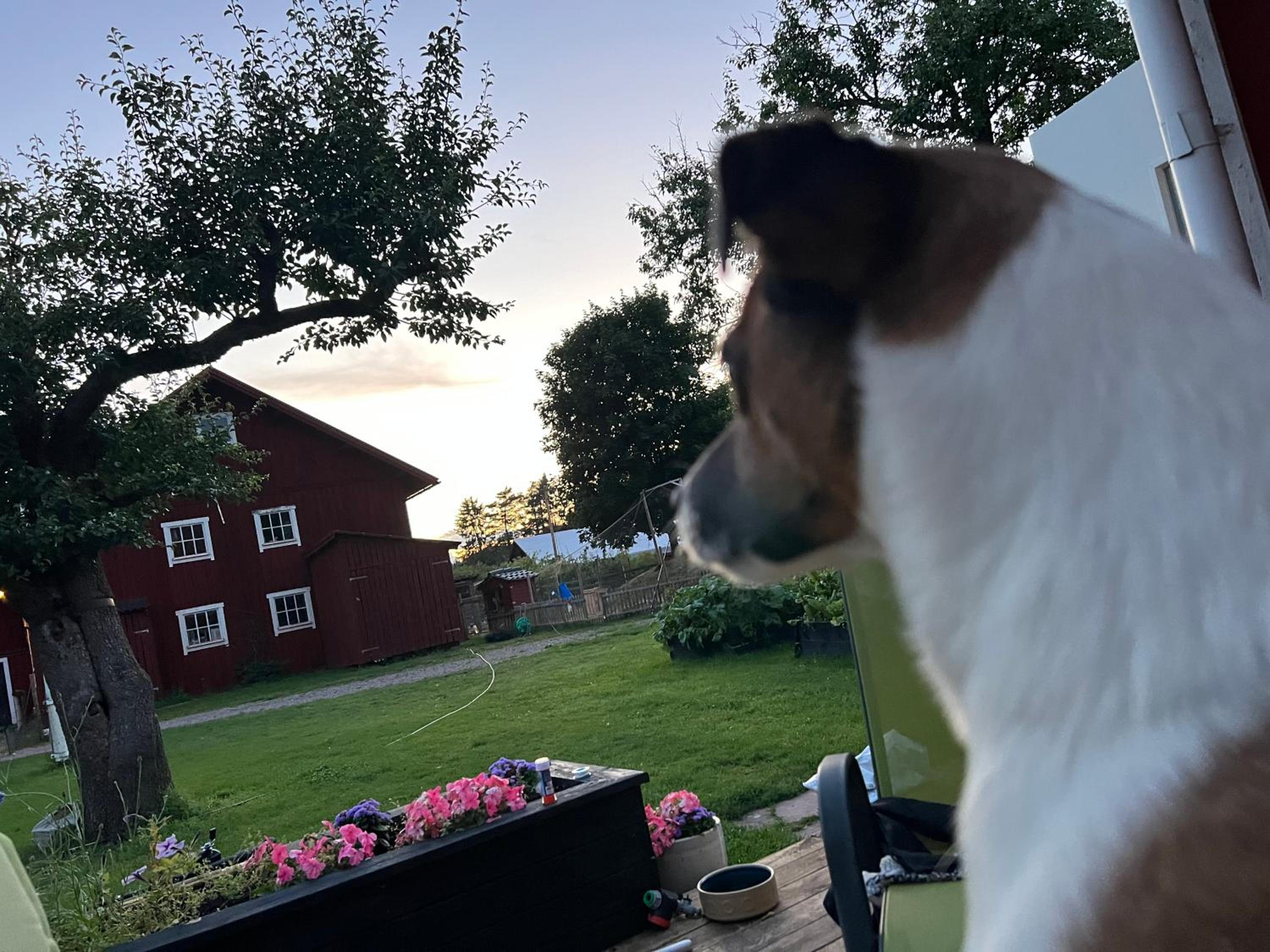 Loftet på Soliga Klacken
