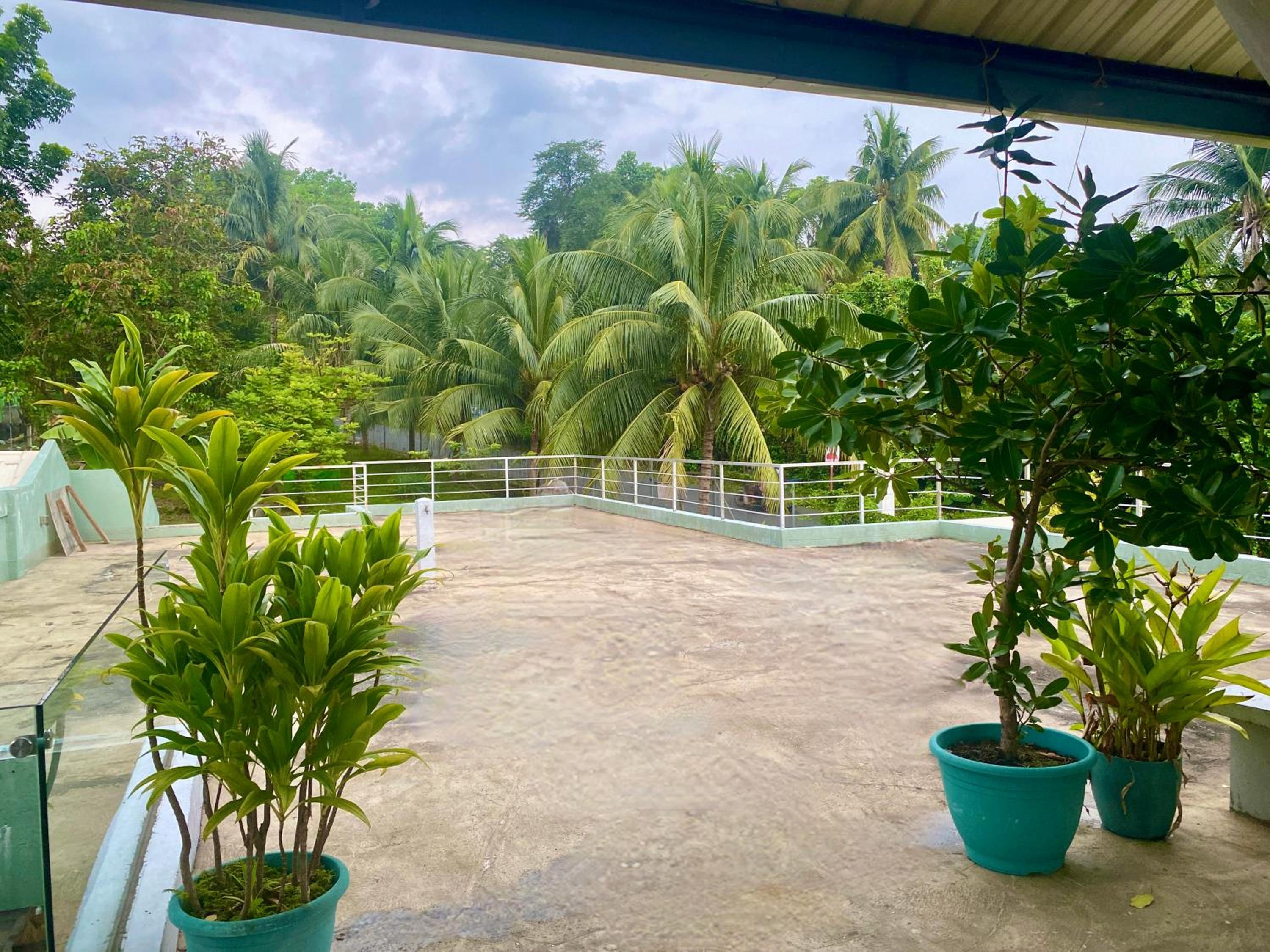 Lucia’s Place