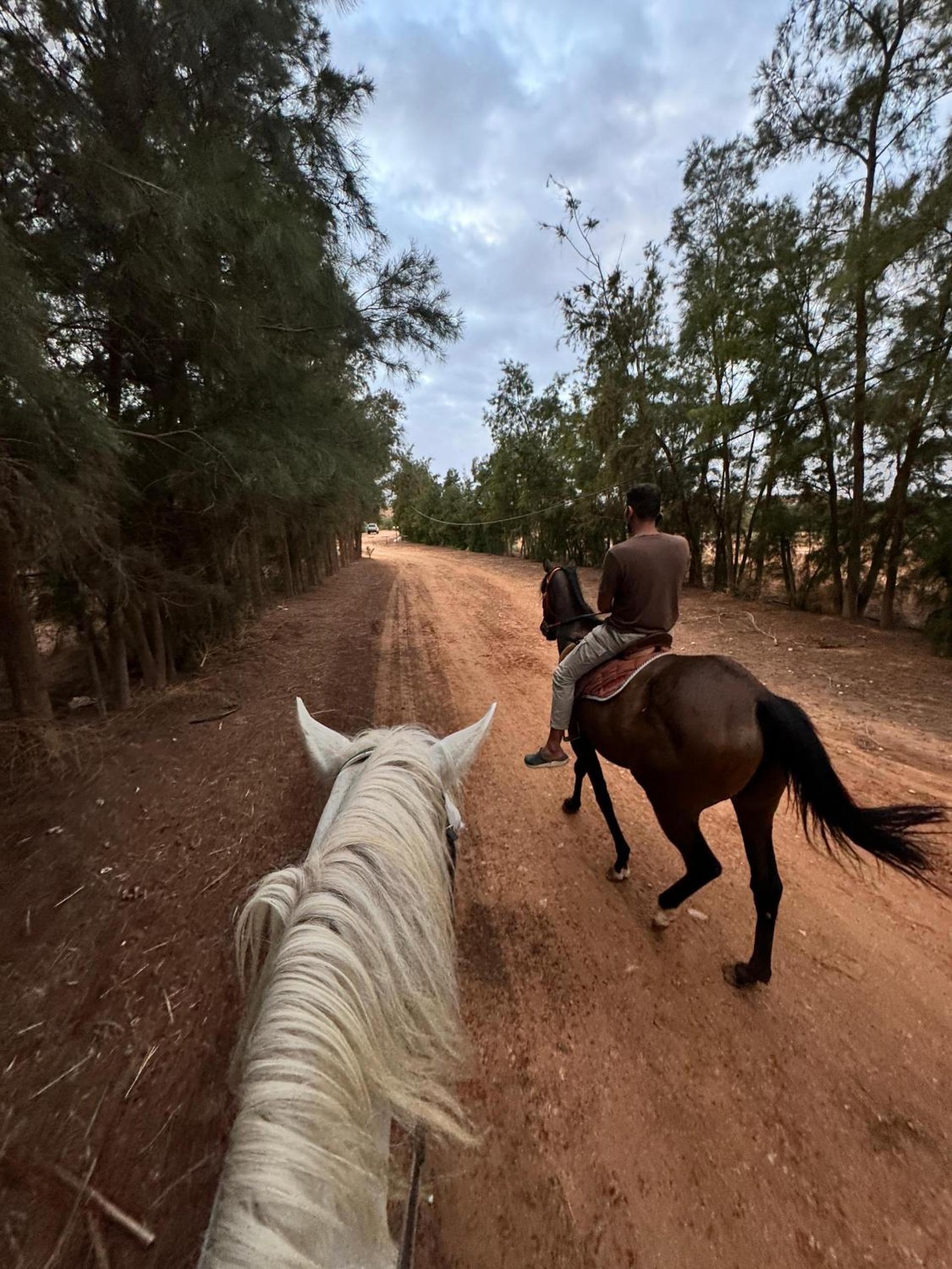 HABIB Farm