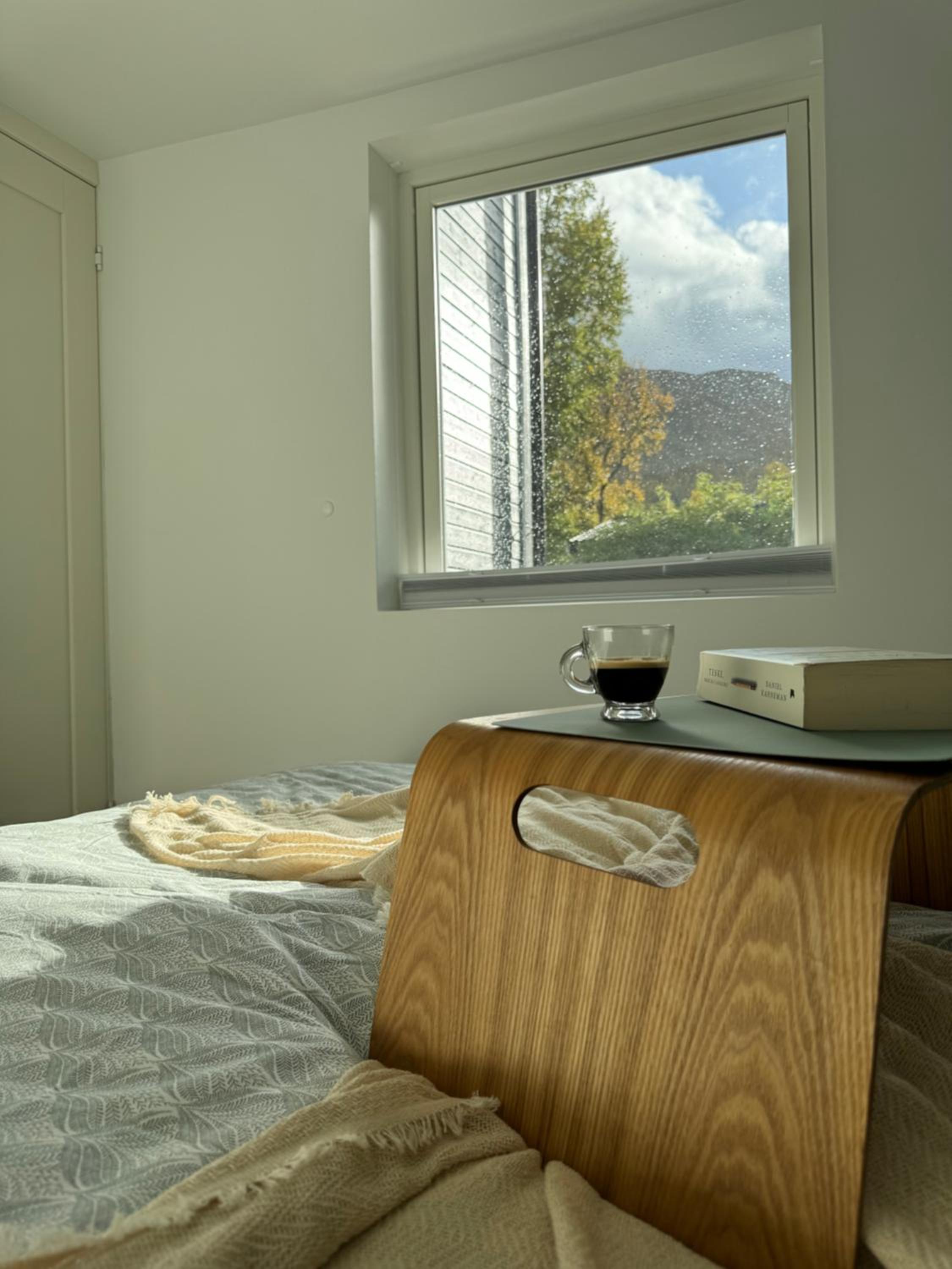 luxury Apartment by Skyactive view 5