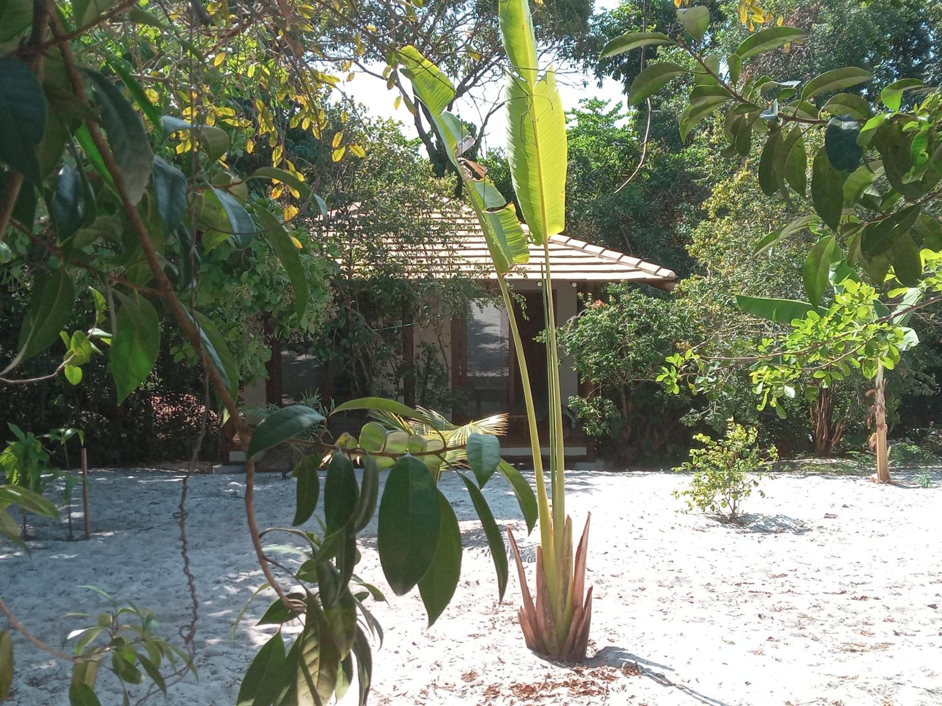 Chalés na Vila Natholi