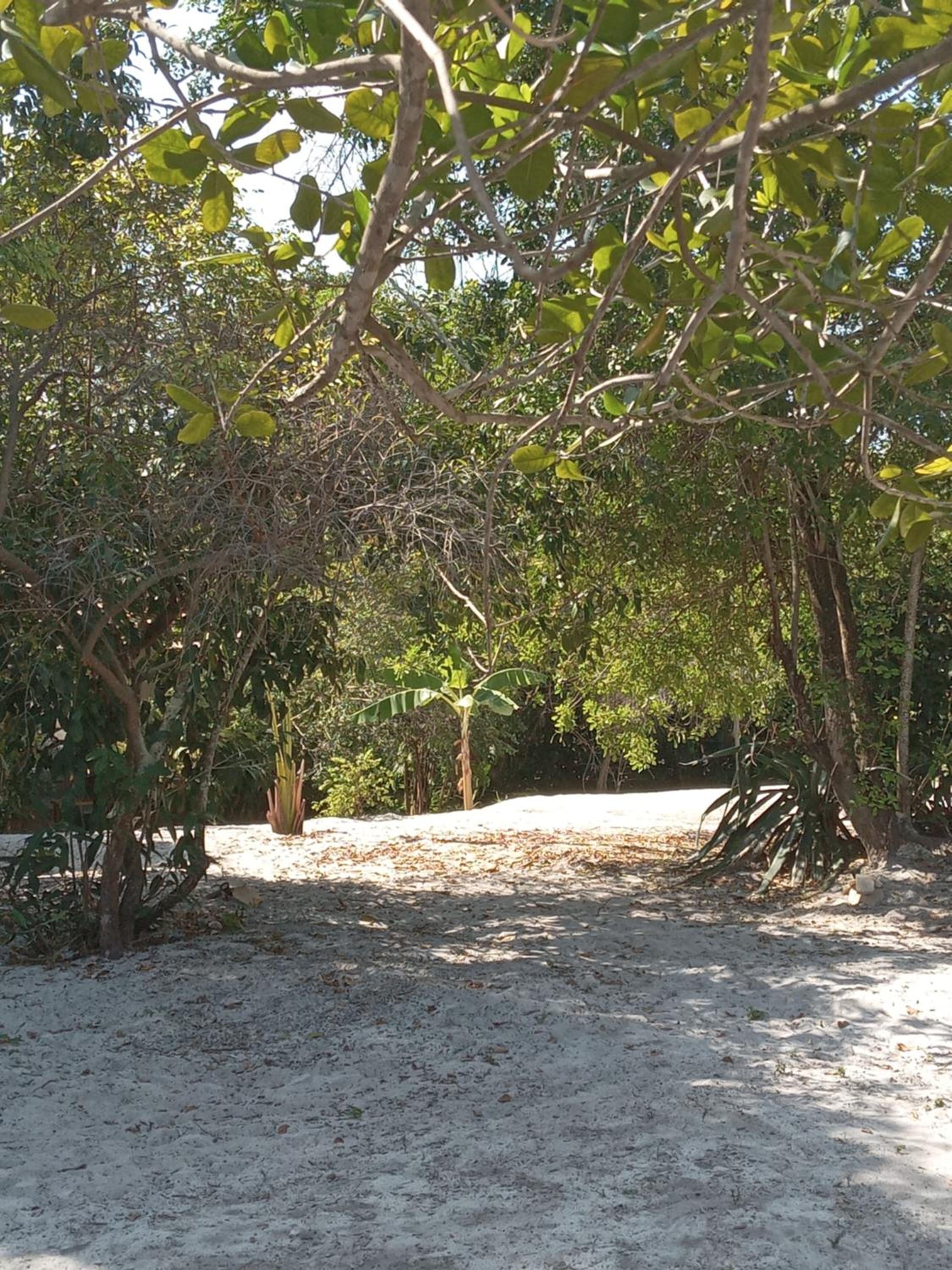 Chalés na Vila Natholi