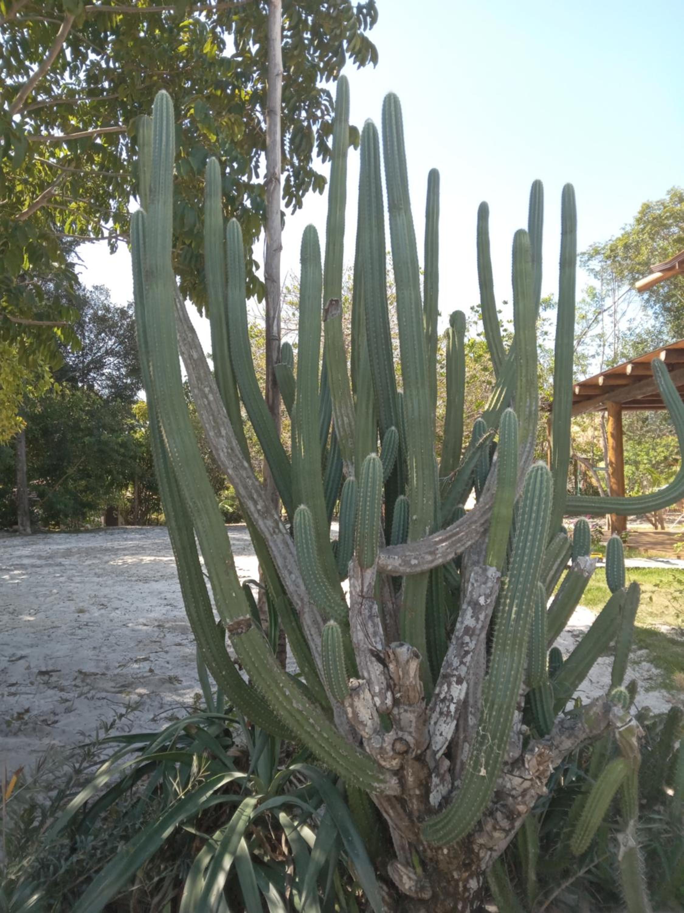 Chalés na Vila Natholi