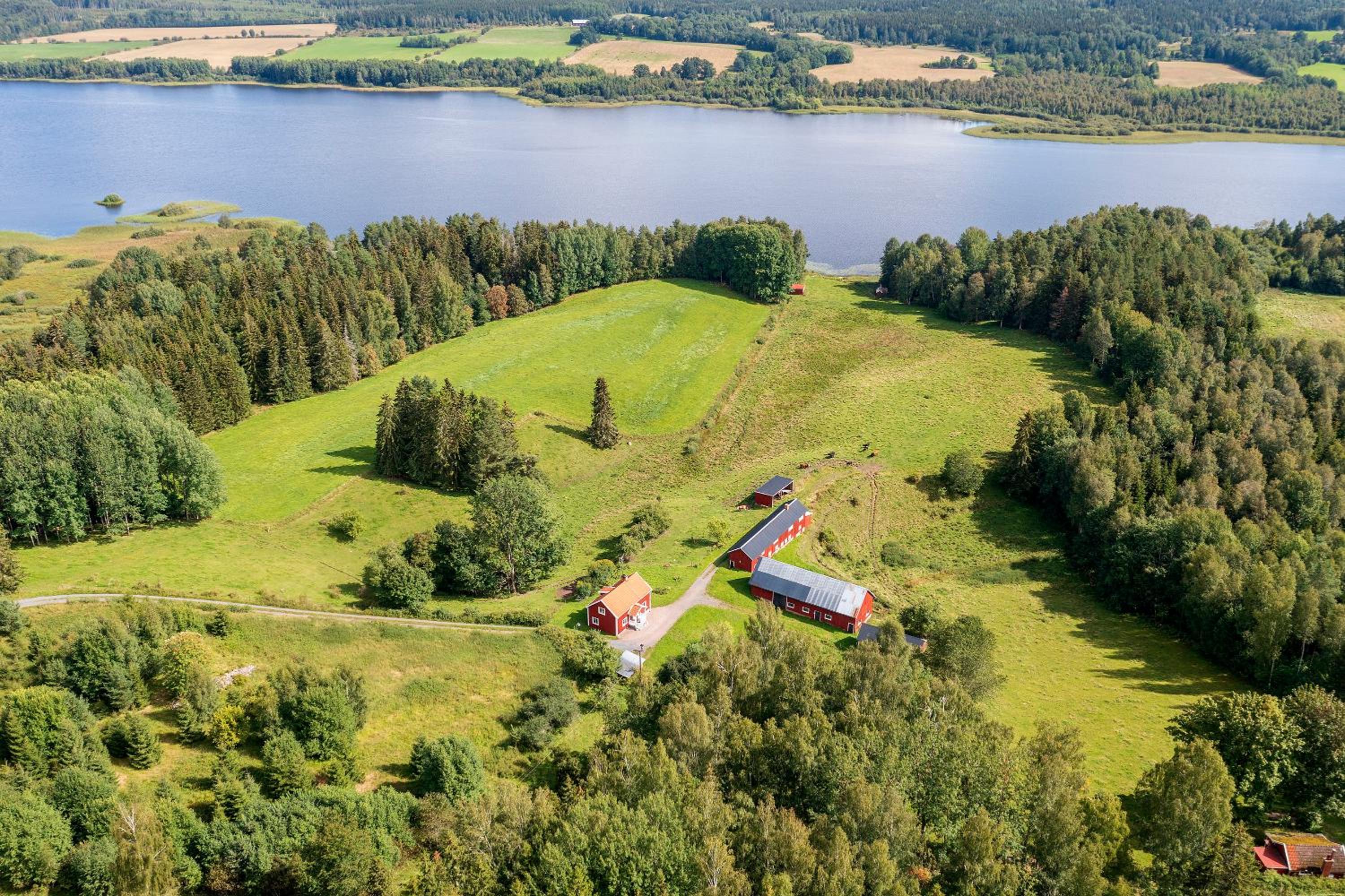 Ljungaviken