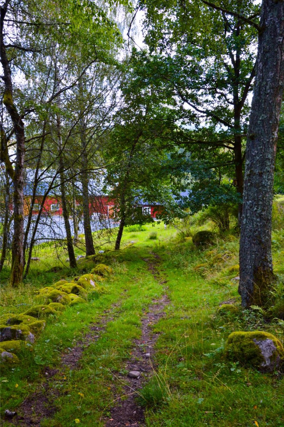 Ljungaviken