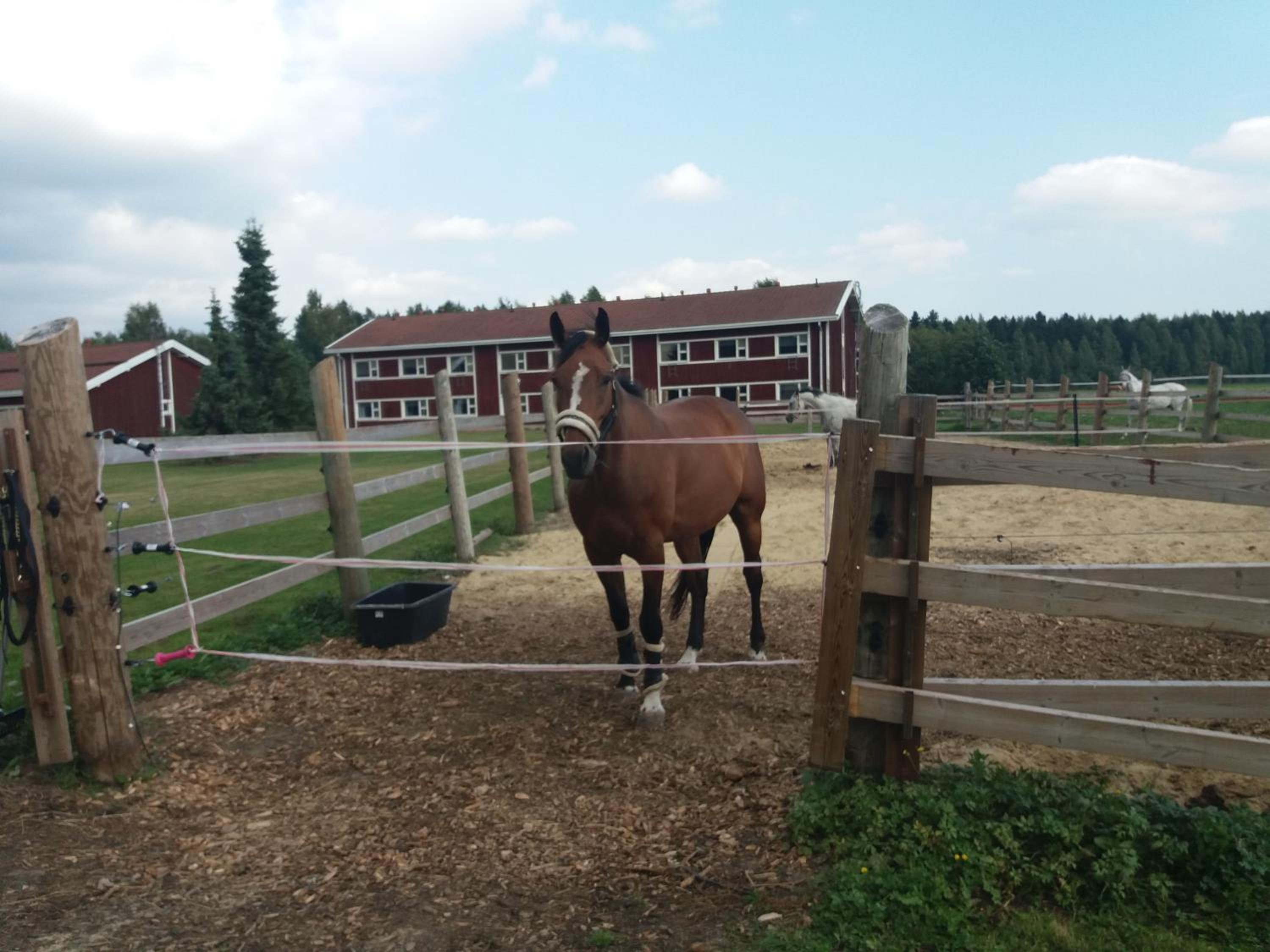 LappmarkenIX rentals