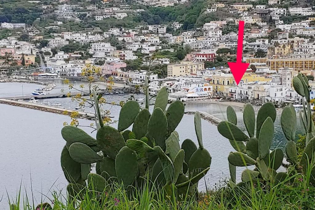 Gigi centralissimo appartamento Ischia Lacco Ameno