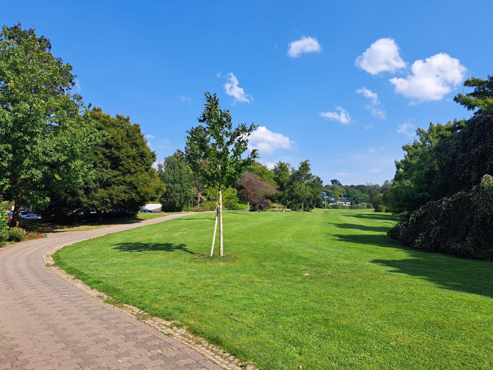 Apartment Wiesbaden in Toplage am Kurpark, ruhig und zentral