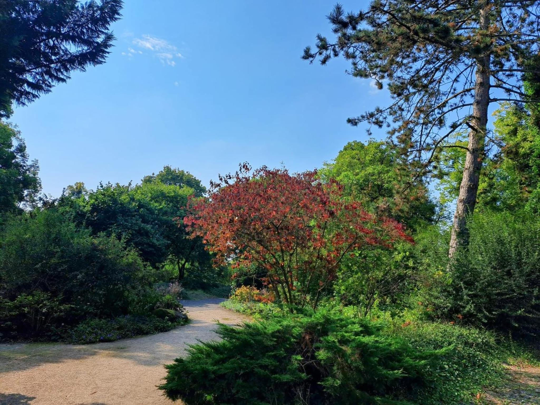 Apartment Wiesbaden in Toplage am Kurpark, ruhig und zentral