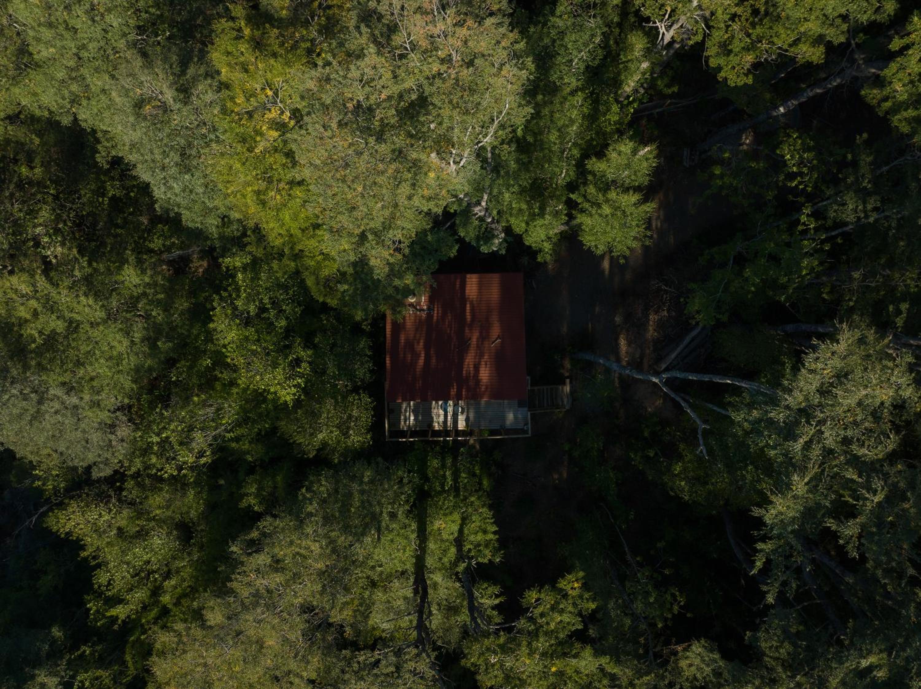 Hermoso Lodge Inserto en Bosque Andino Pucón