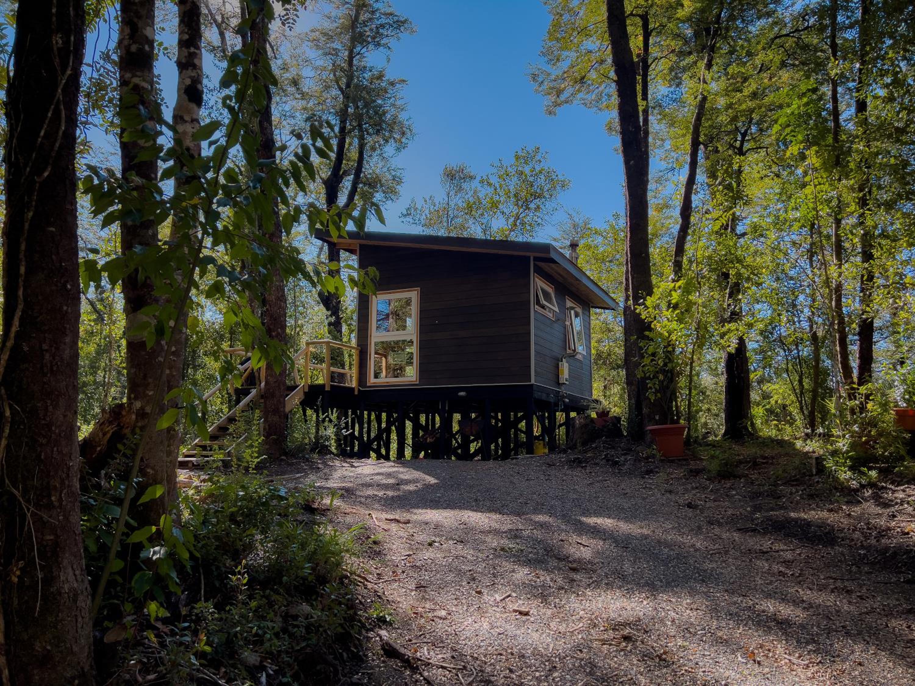 Hermoso Lodge Inserto en Bosque Andino Pucón