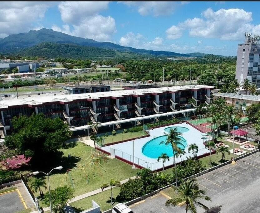 Relaxing Studio Near El Yunque With Pool View
